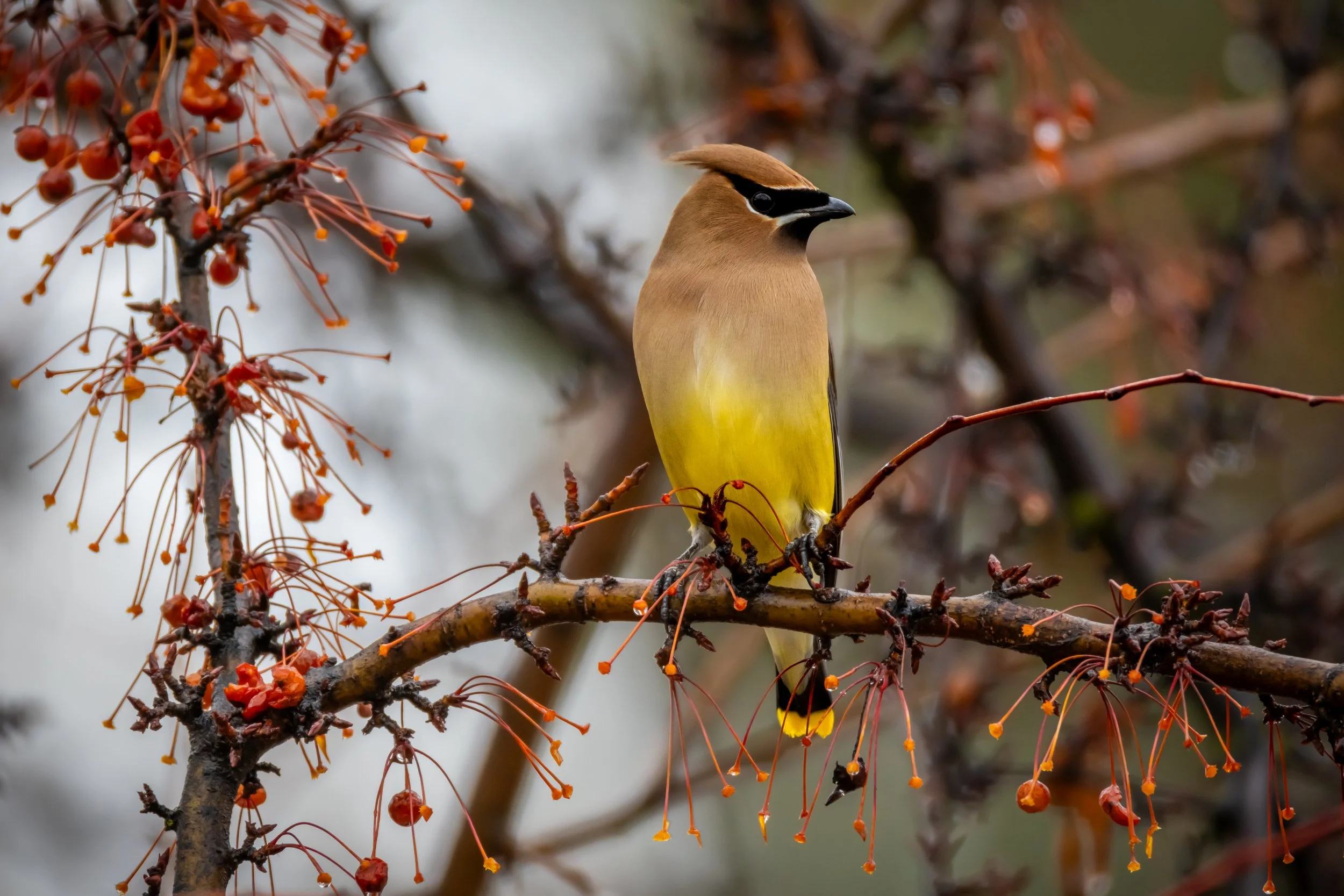 San Marino 2-2-2025-2.jpg