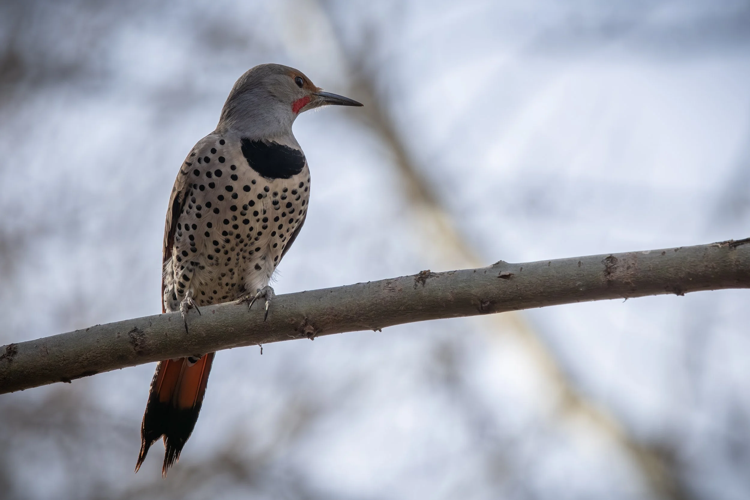 VMP - 12-10-25-04.jpg