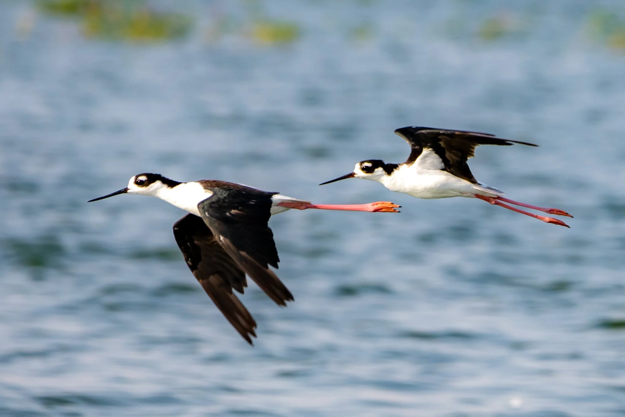 Blacks Ceek 8_11_24-13.jpg