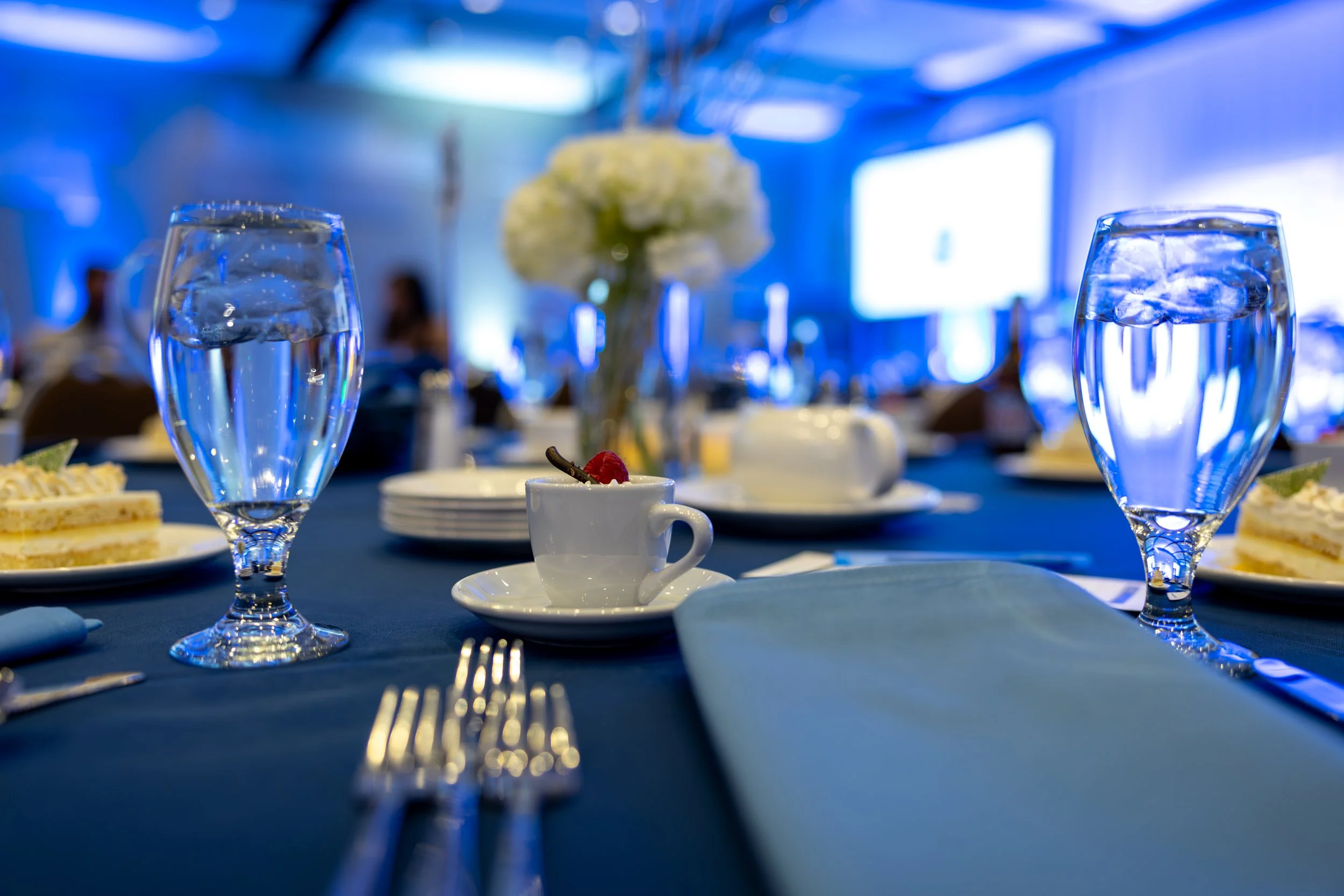 Epilepsy Foundation Gala 2025-011.jpg