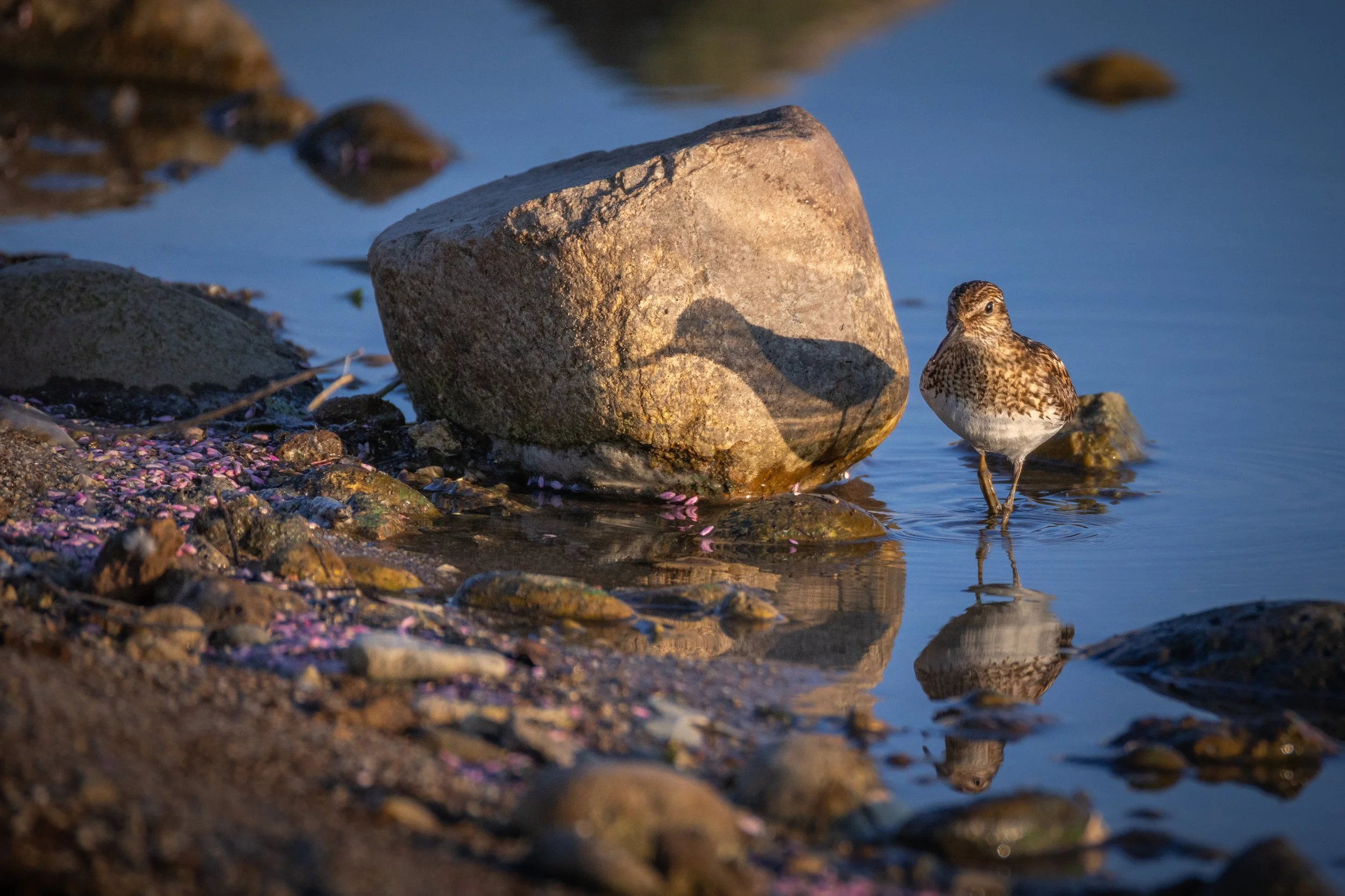 Blacks Creek 8-3-25-03.jpg
