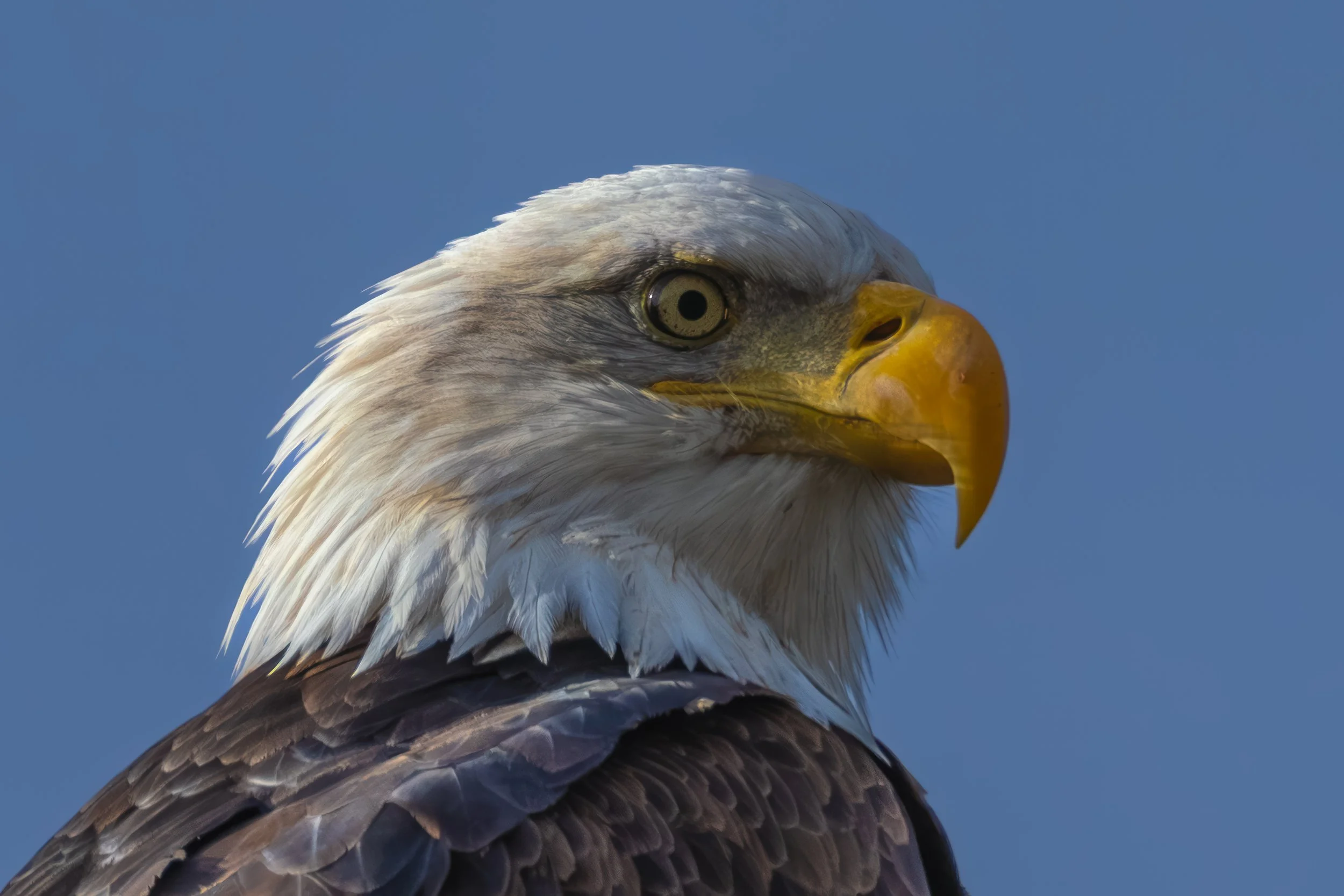 Thanksgiving 2025-12.jpg