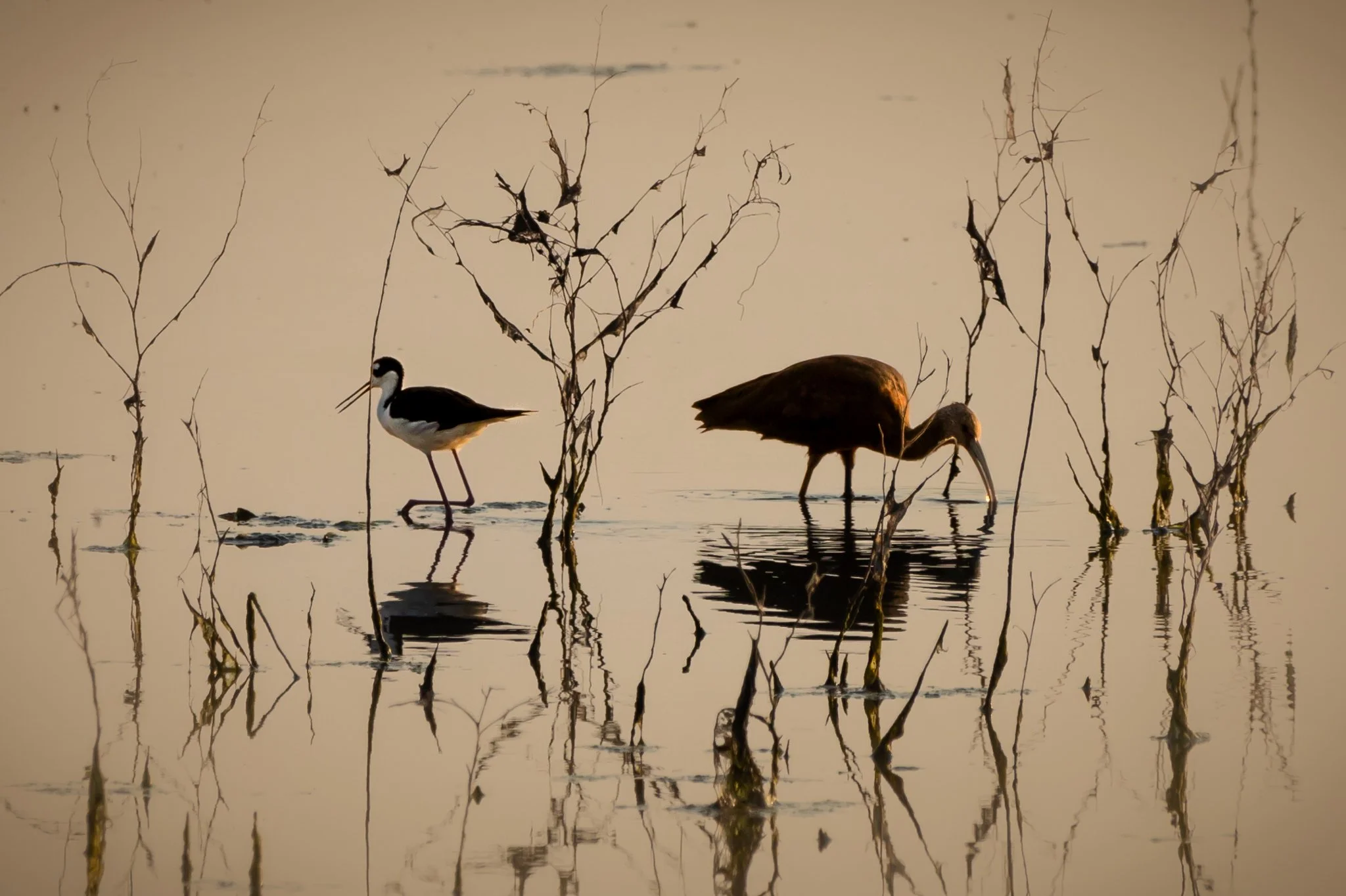 Blacks Ceek 8_11_24-35.jpg