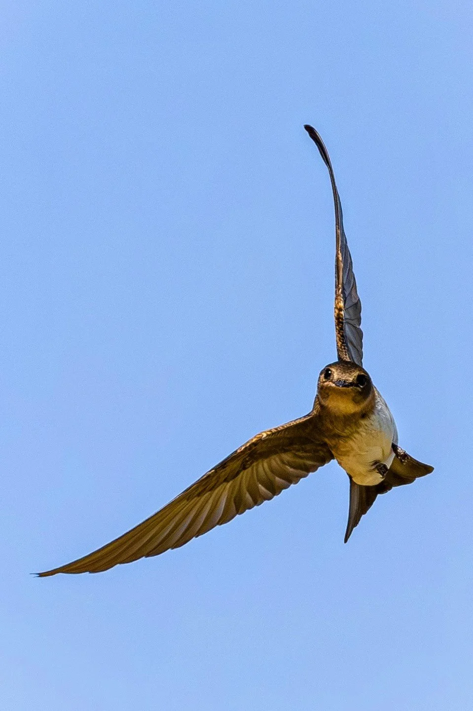 Blacks Creek 9-8-2024-16~2.jpg