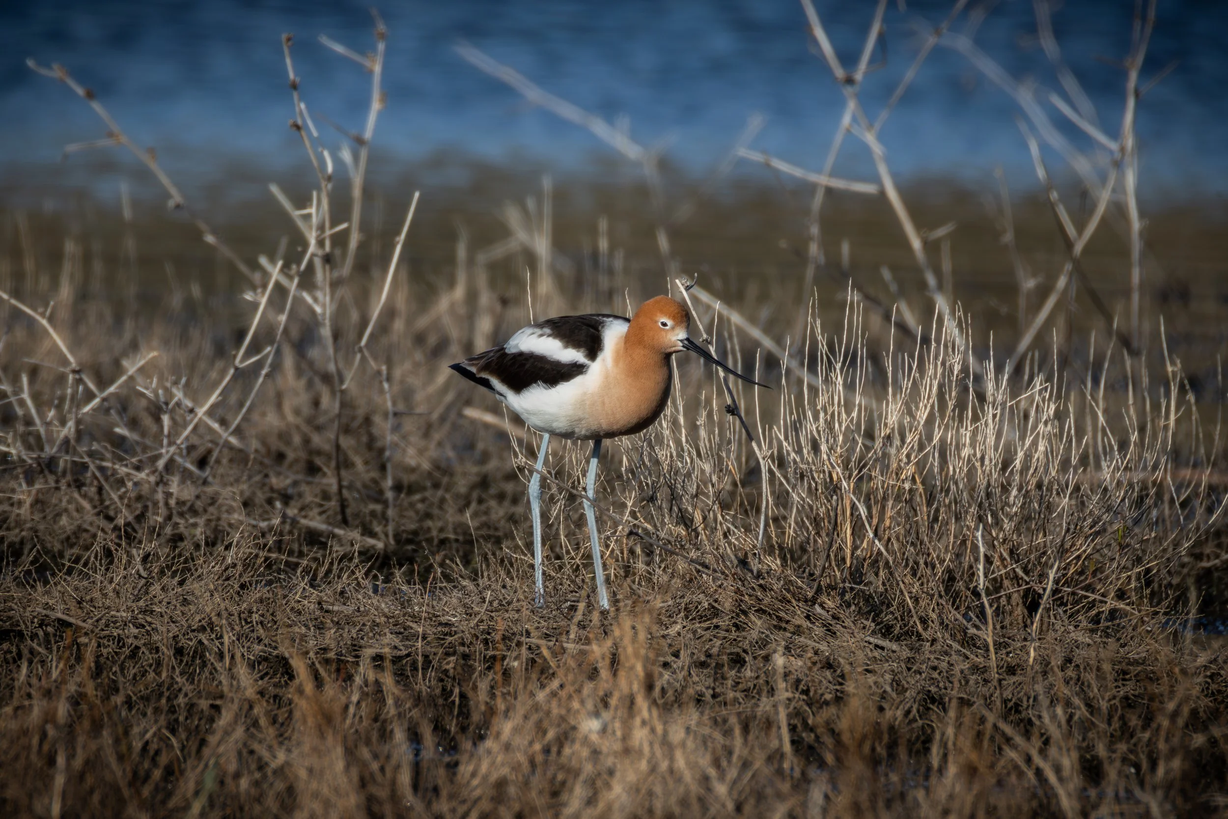 Blacks Creek - 4-26-2025-17.jpg