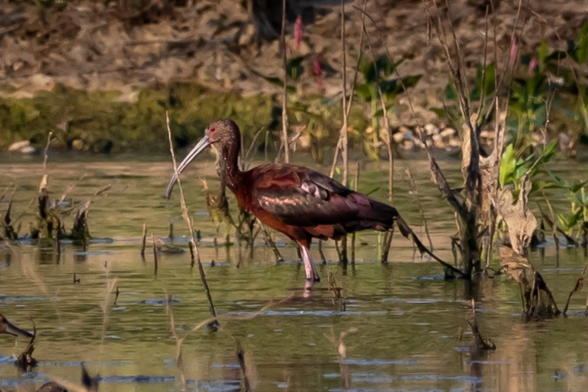 Blacks Ceek 8_11_24-26.jpg