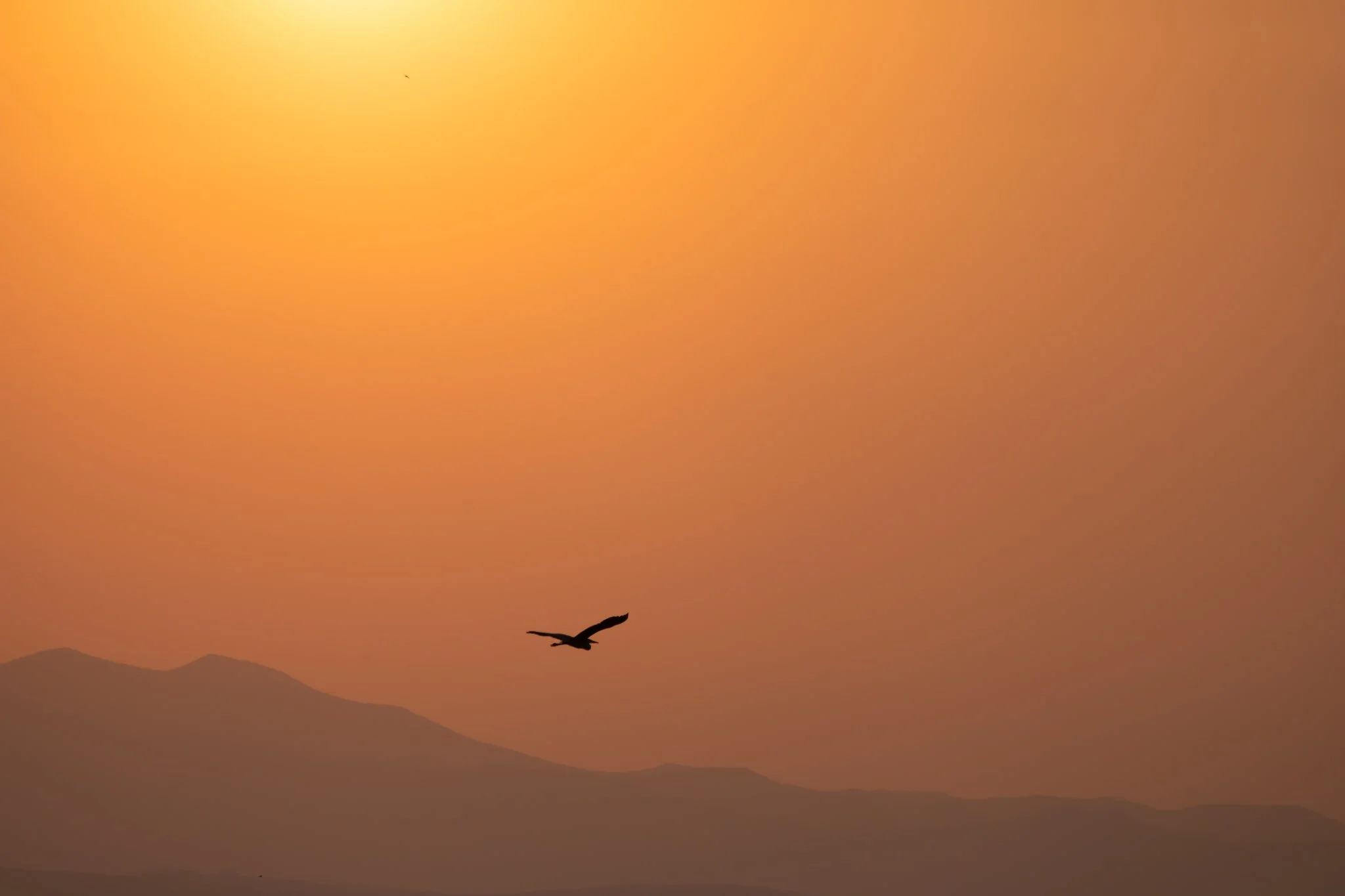 Blacks Ceek 8_11_24-47.jpg