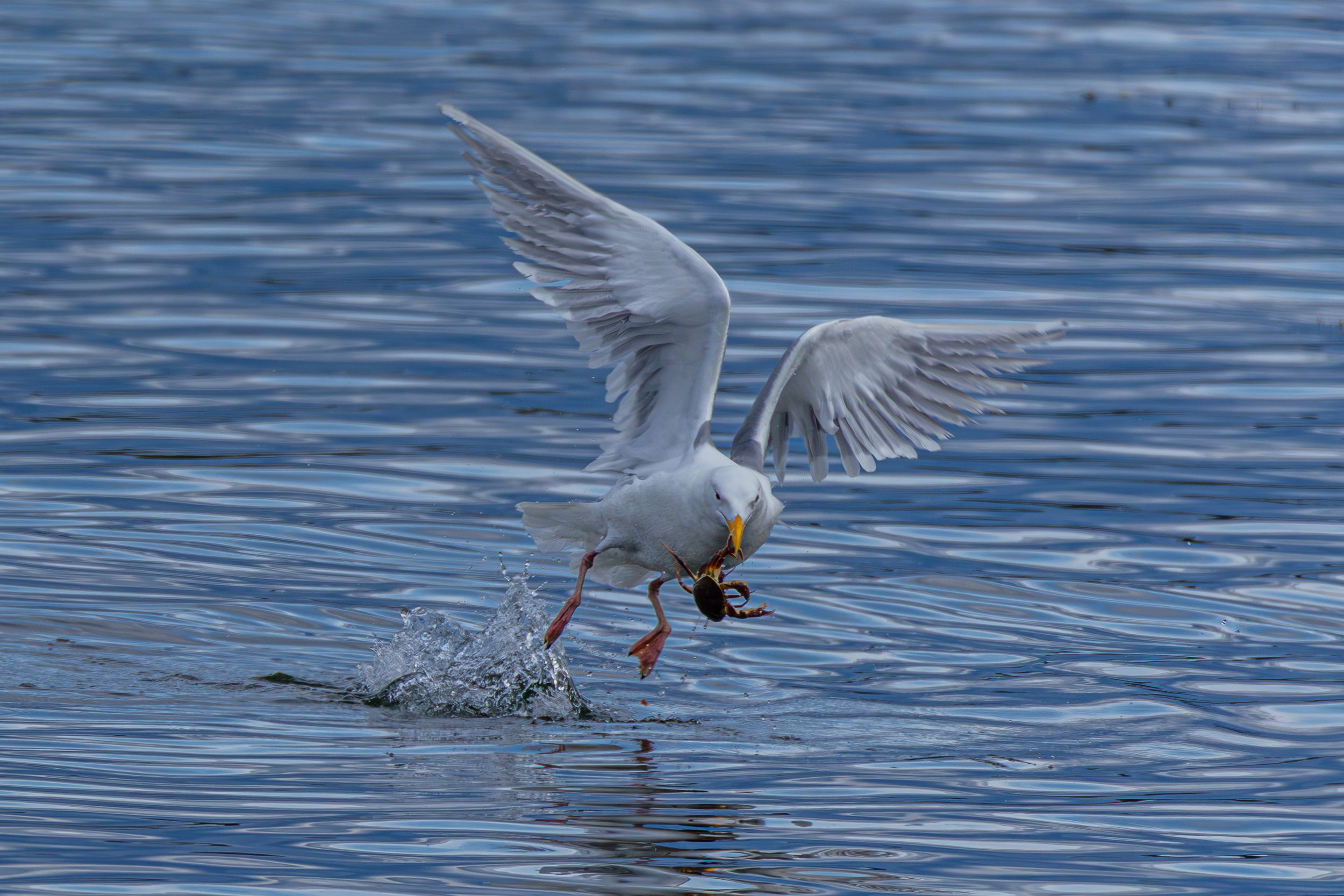 Seattle Trip 5-3-25-6.jpg