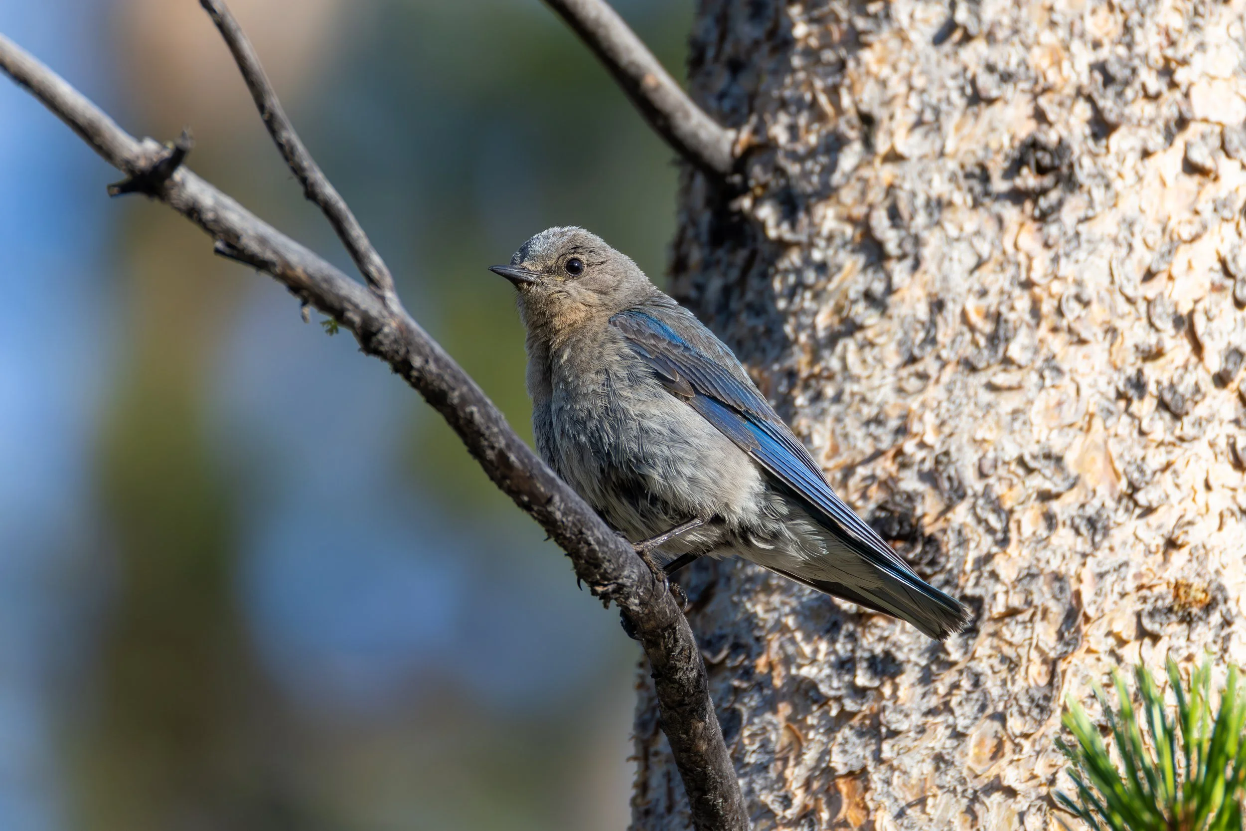 Stanley 7-26-25-28.jpg