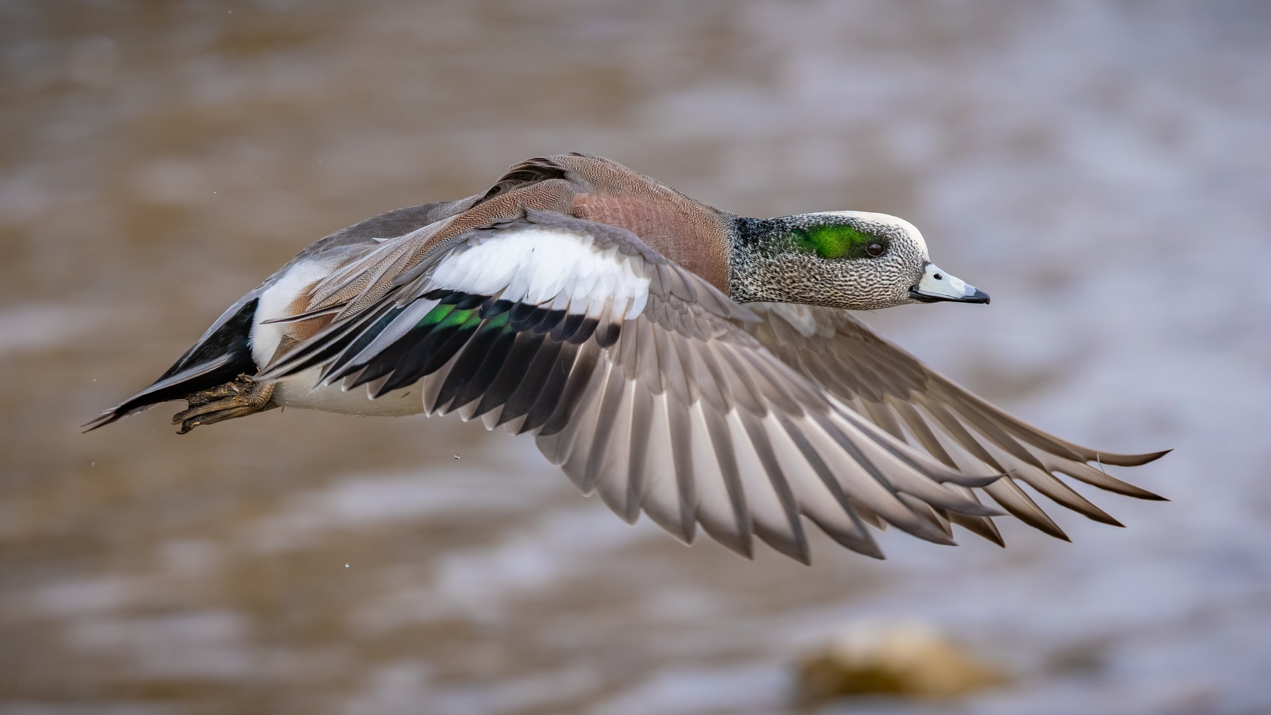 Kleiner Park - 2-8-26-05.jpg