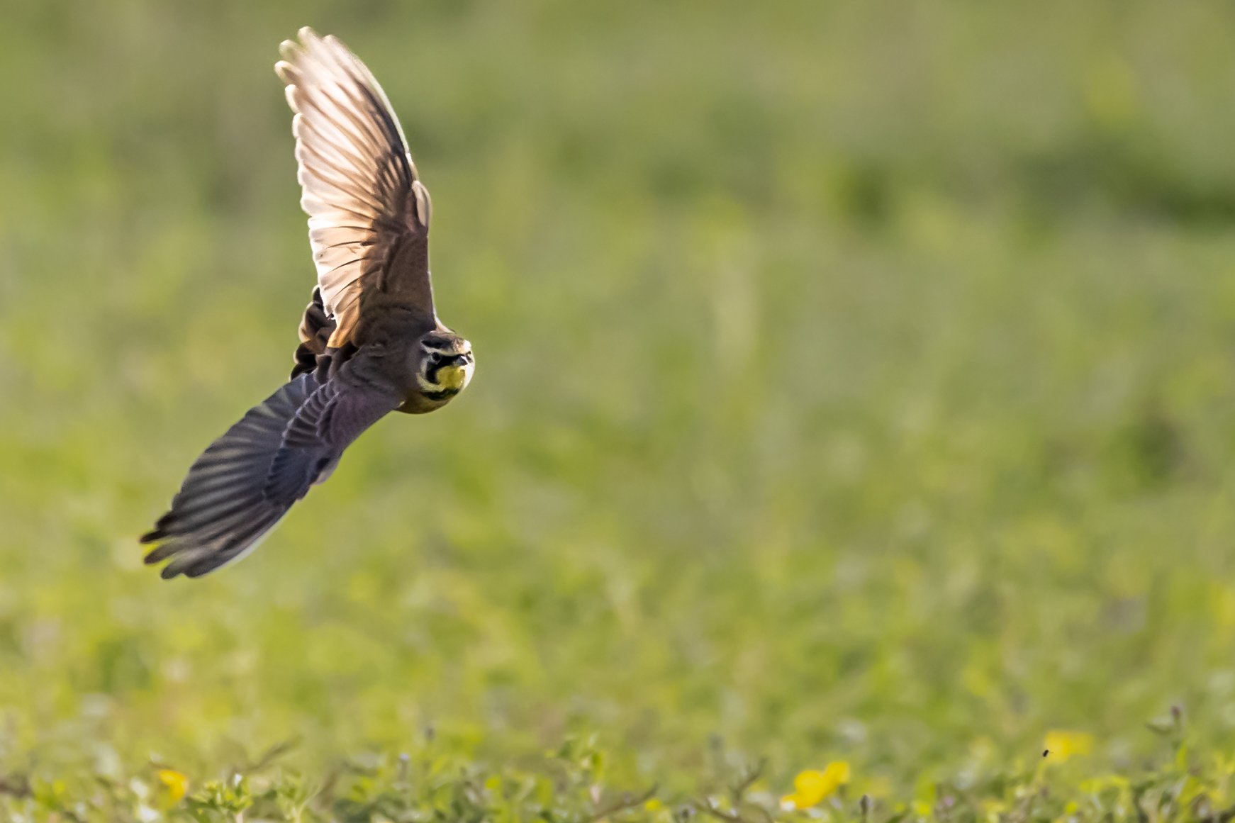 Blacks Creek  9-14-24-22.jpg