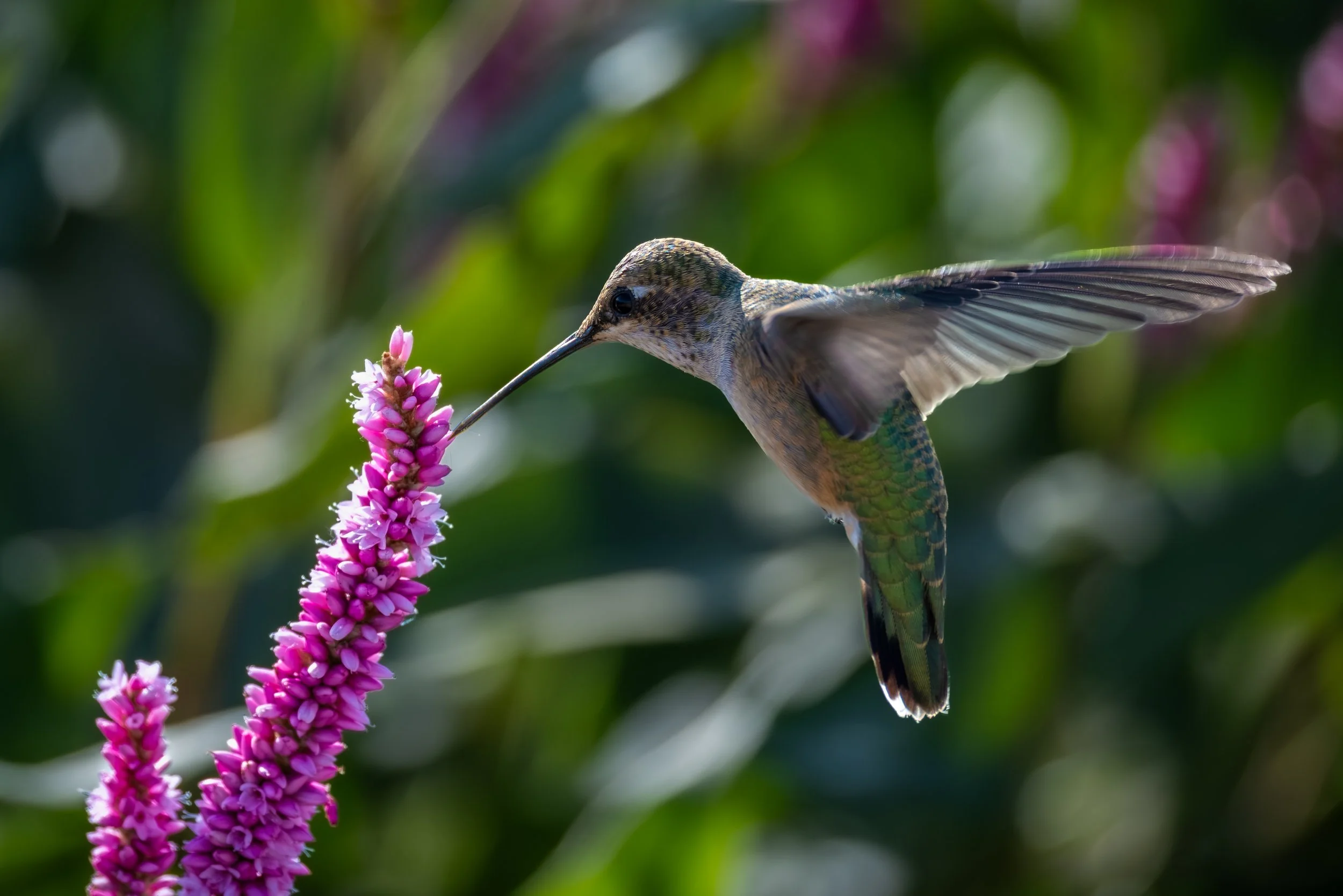 Blacks Creek 8-3-25-29.jpg