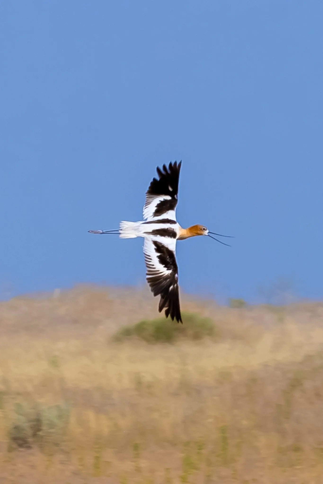 Blacks Ceek 8_11_24-12.jpg