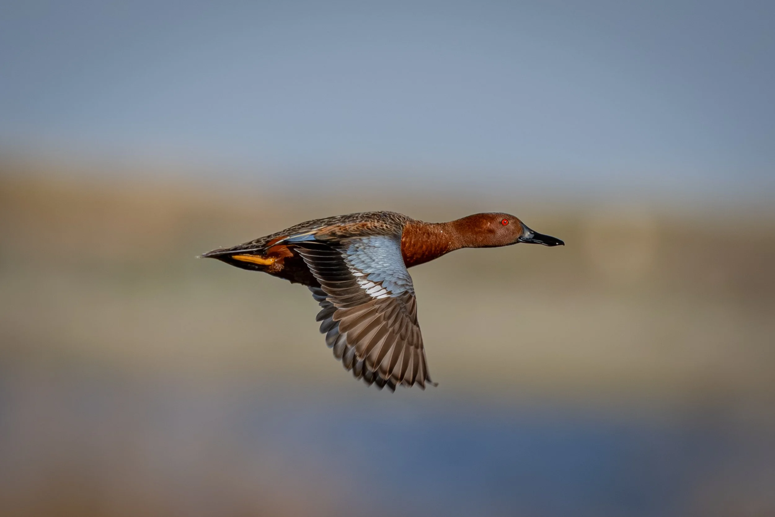 Blacks Creek - 4-26-2025-15.jpg