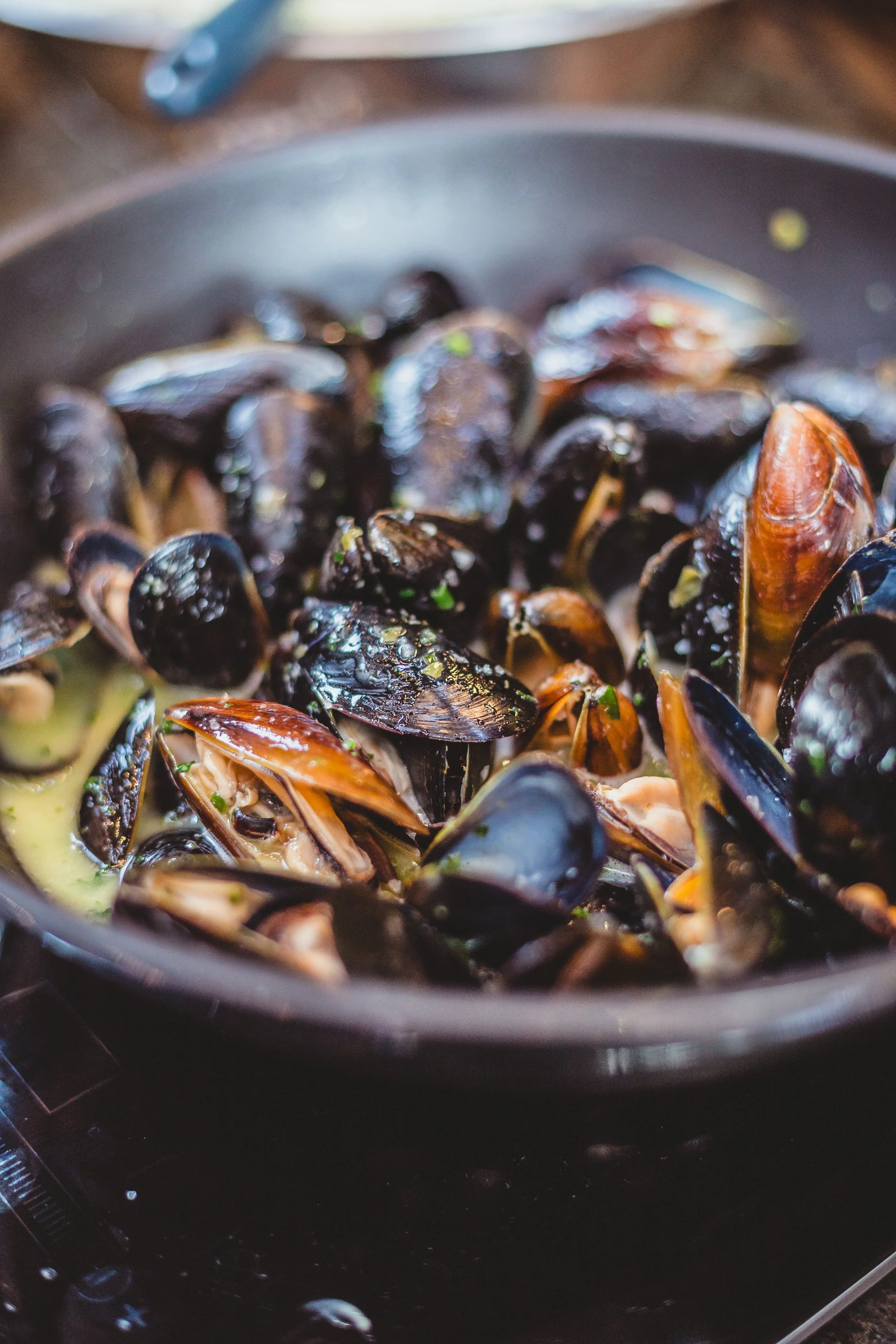 SABOR Seafood Festival Kick-Off