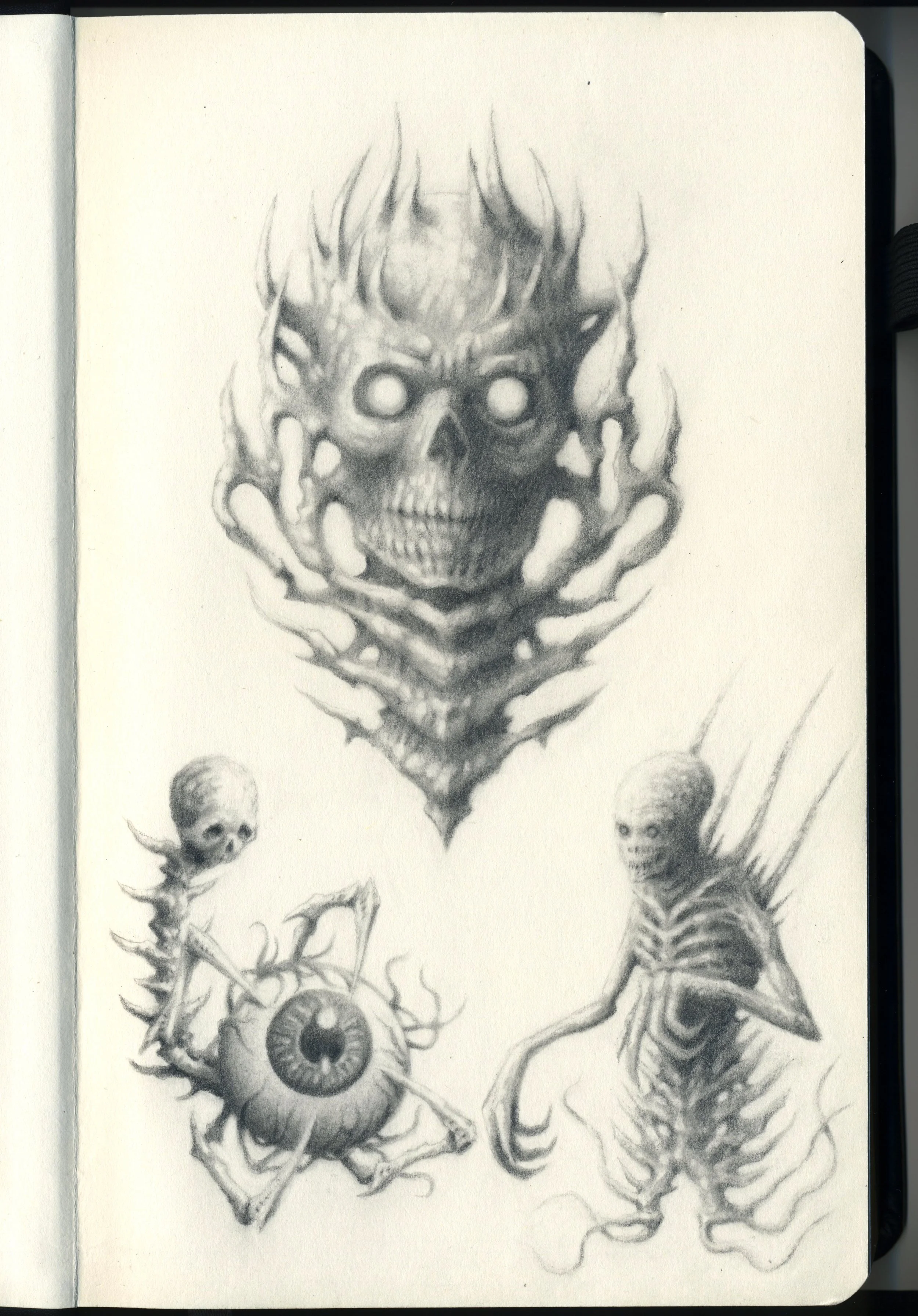 img001 recortada.jpg