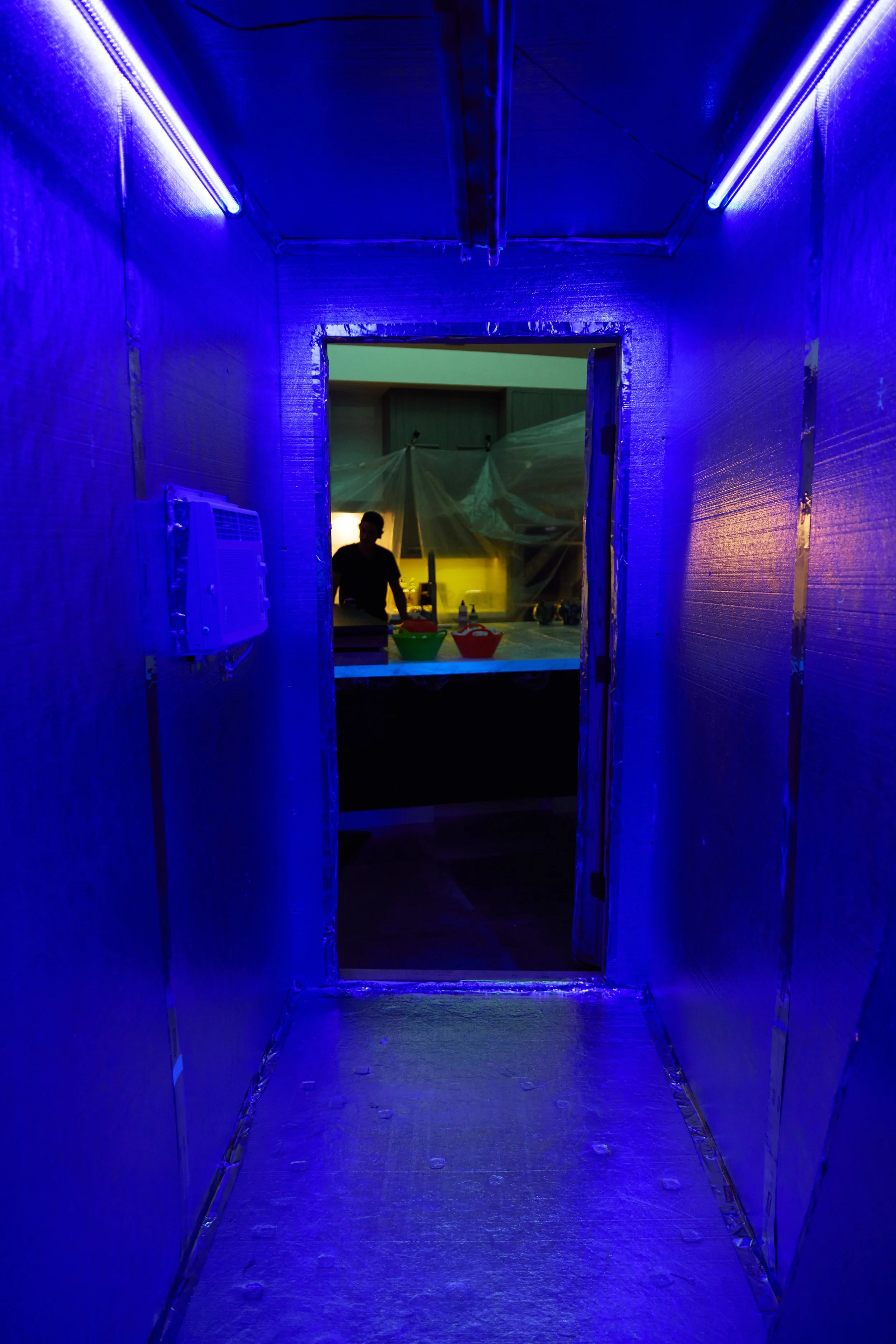 Blacklight Freezer. Crosscheck Studios
