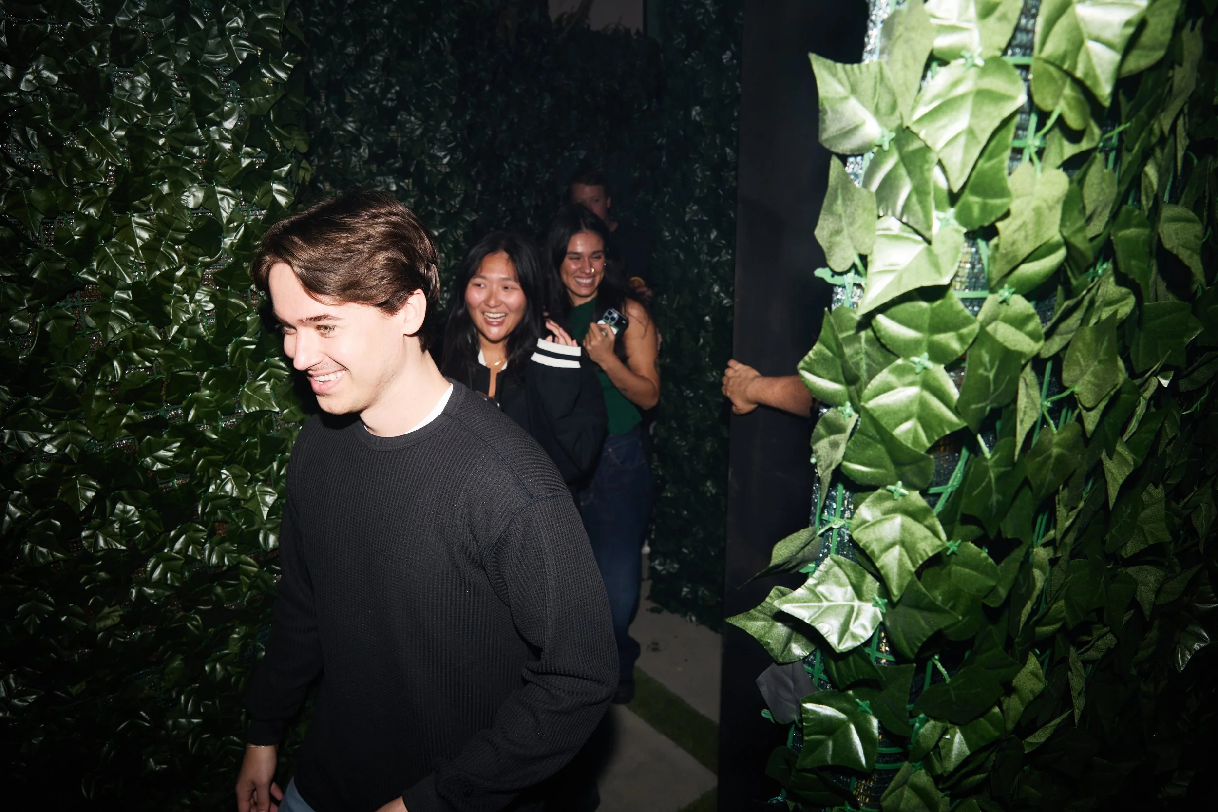 Hedge Maze. Crosscheck Studios