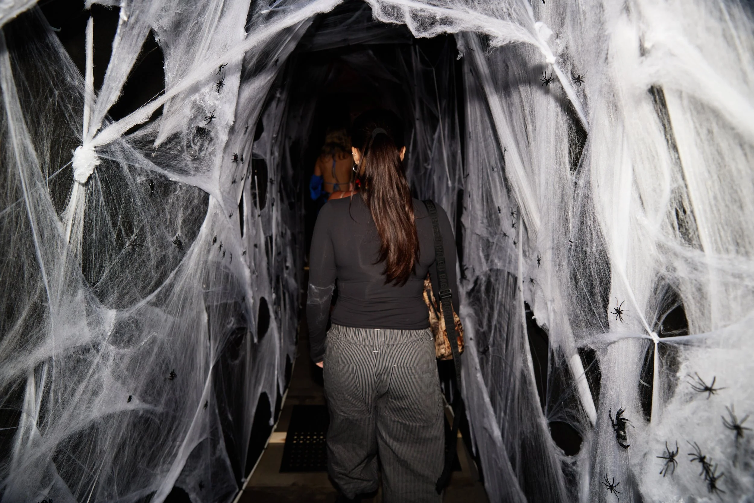 Spider Tunnel. Crosscheck Studios