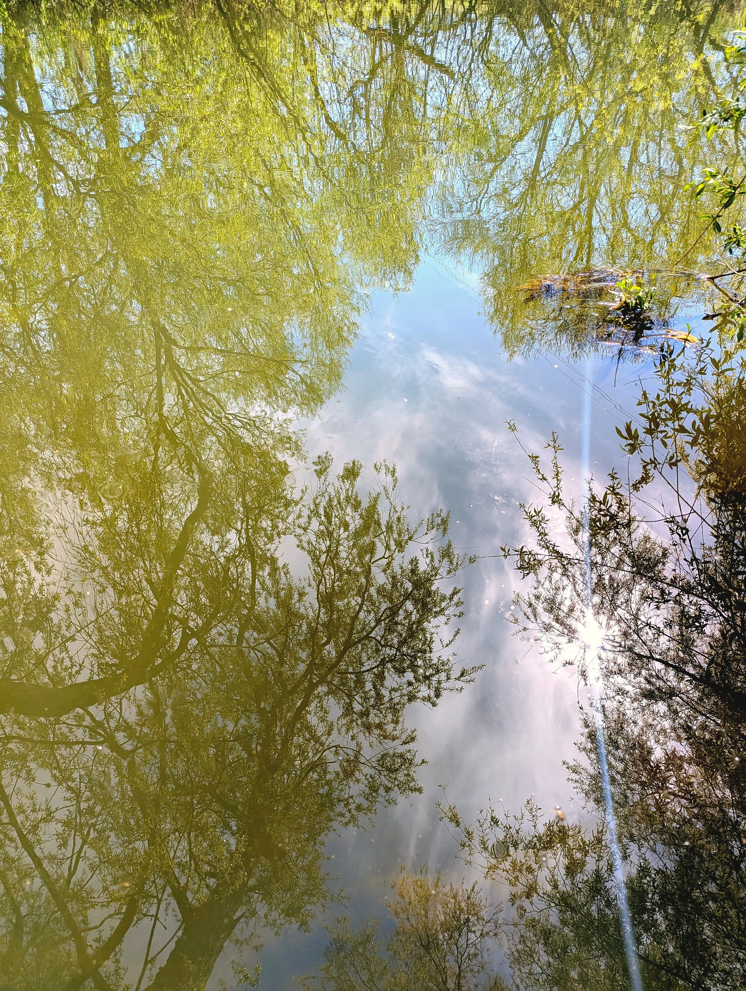 Dear Matilda- I’m Tuning into a New Frequency