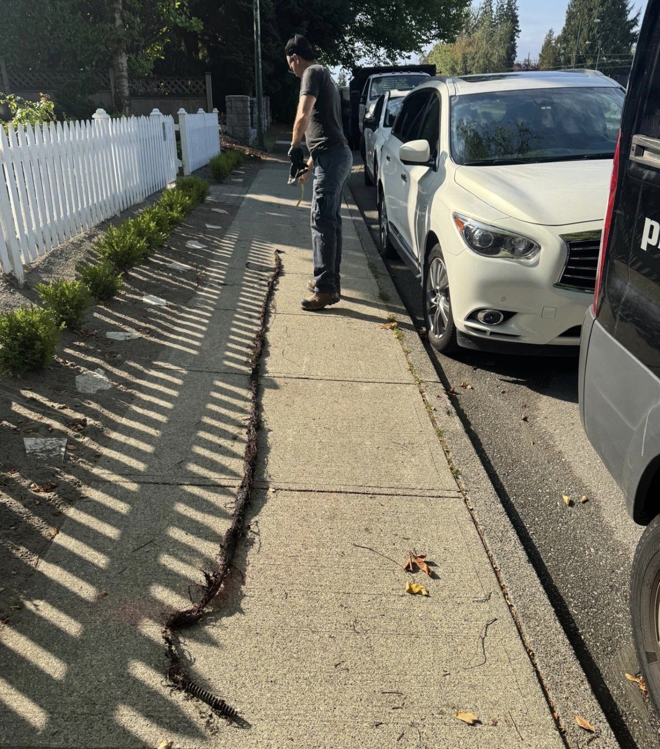 Person cleaning up fallen leaves and debris from a sidewalk next to parked cars and a white picket fence.