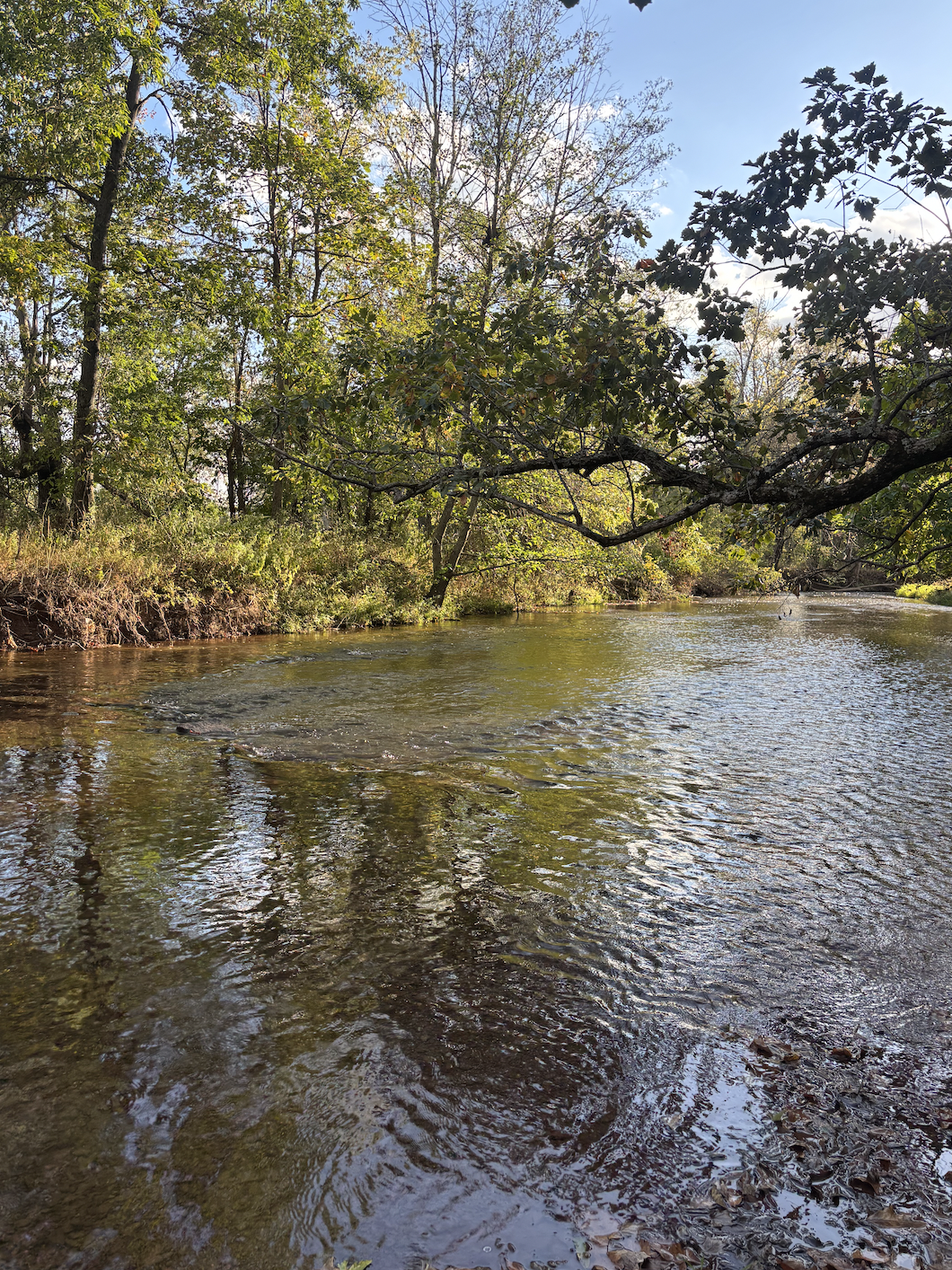 Spring Gatherings Coming Soon!