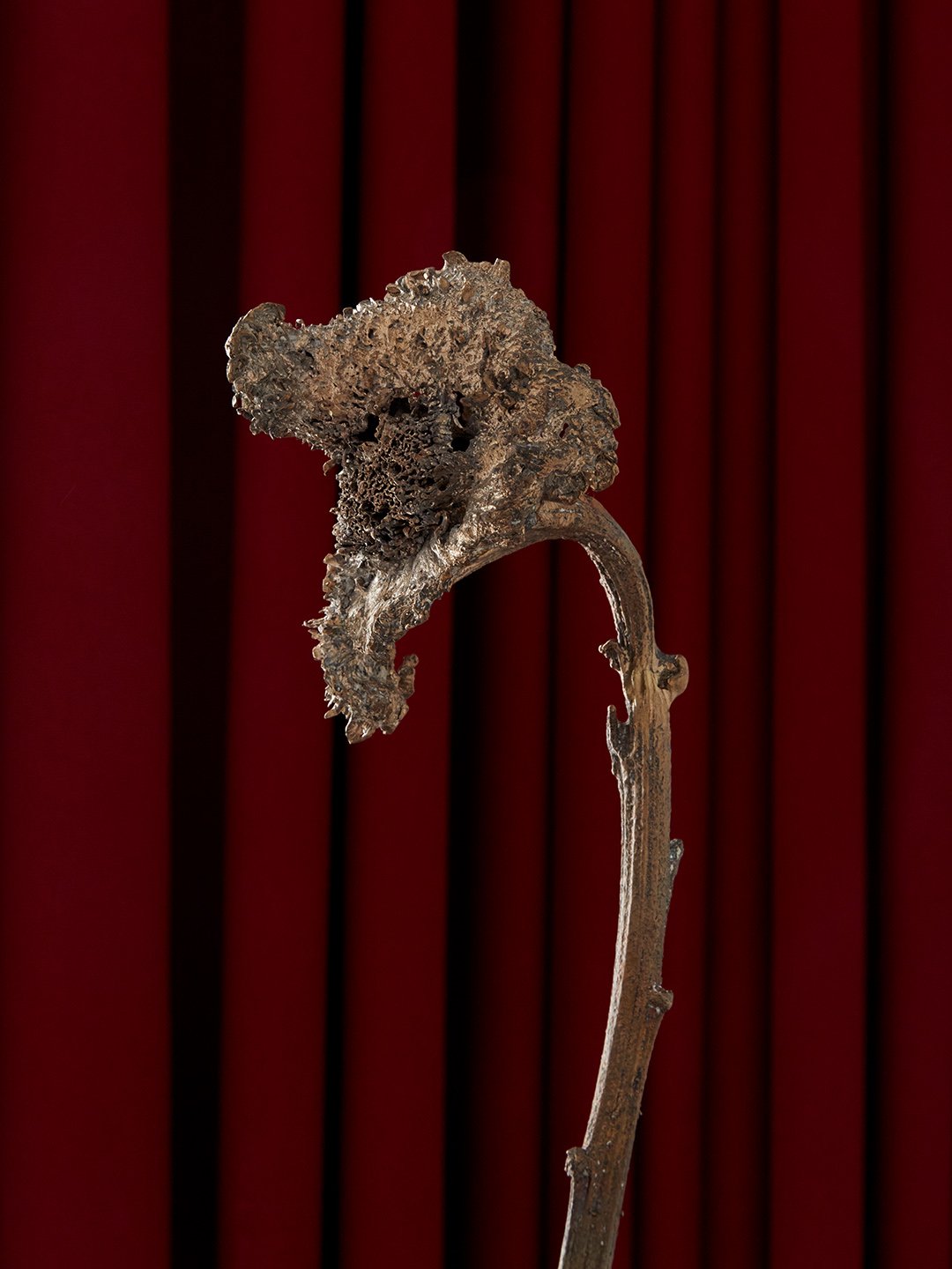 A bronze sculpture of a seahorse with detailed textures against a red curtain background.