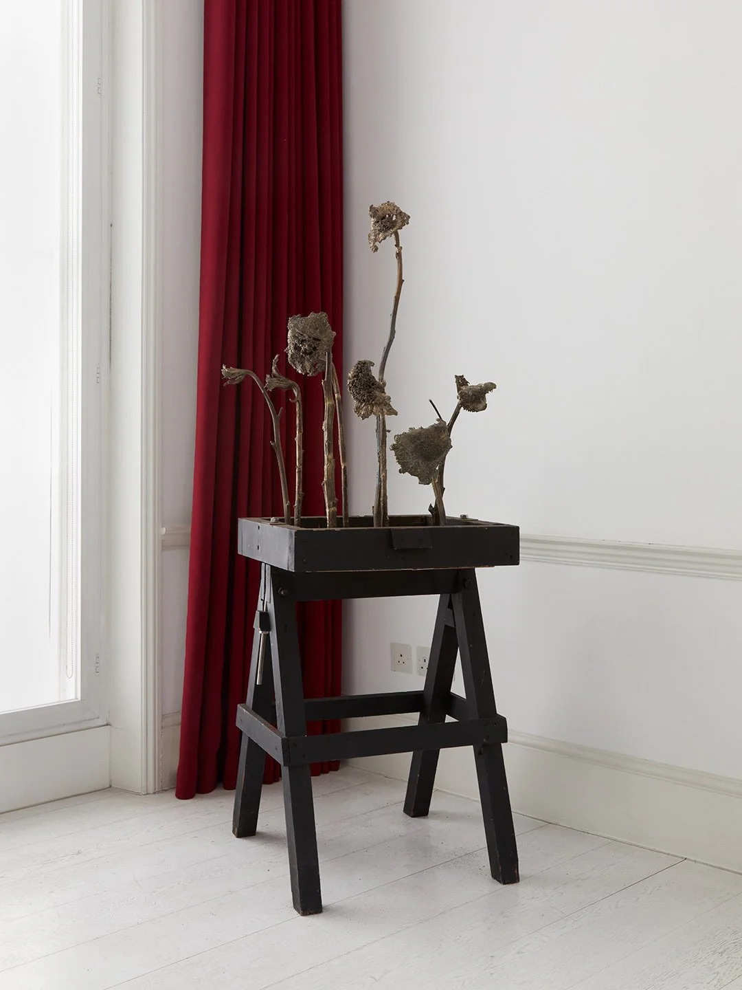 Indoor scene with a black plant stand holding dried, withered plant stems next to a red curtain and a window with white trim.