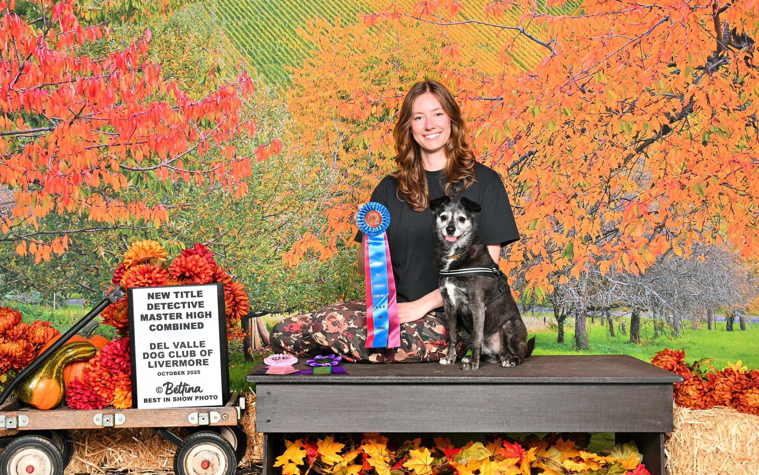 Experienced Scentwork Class