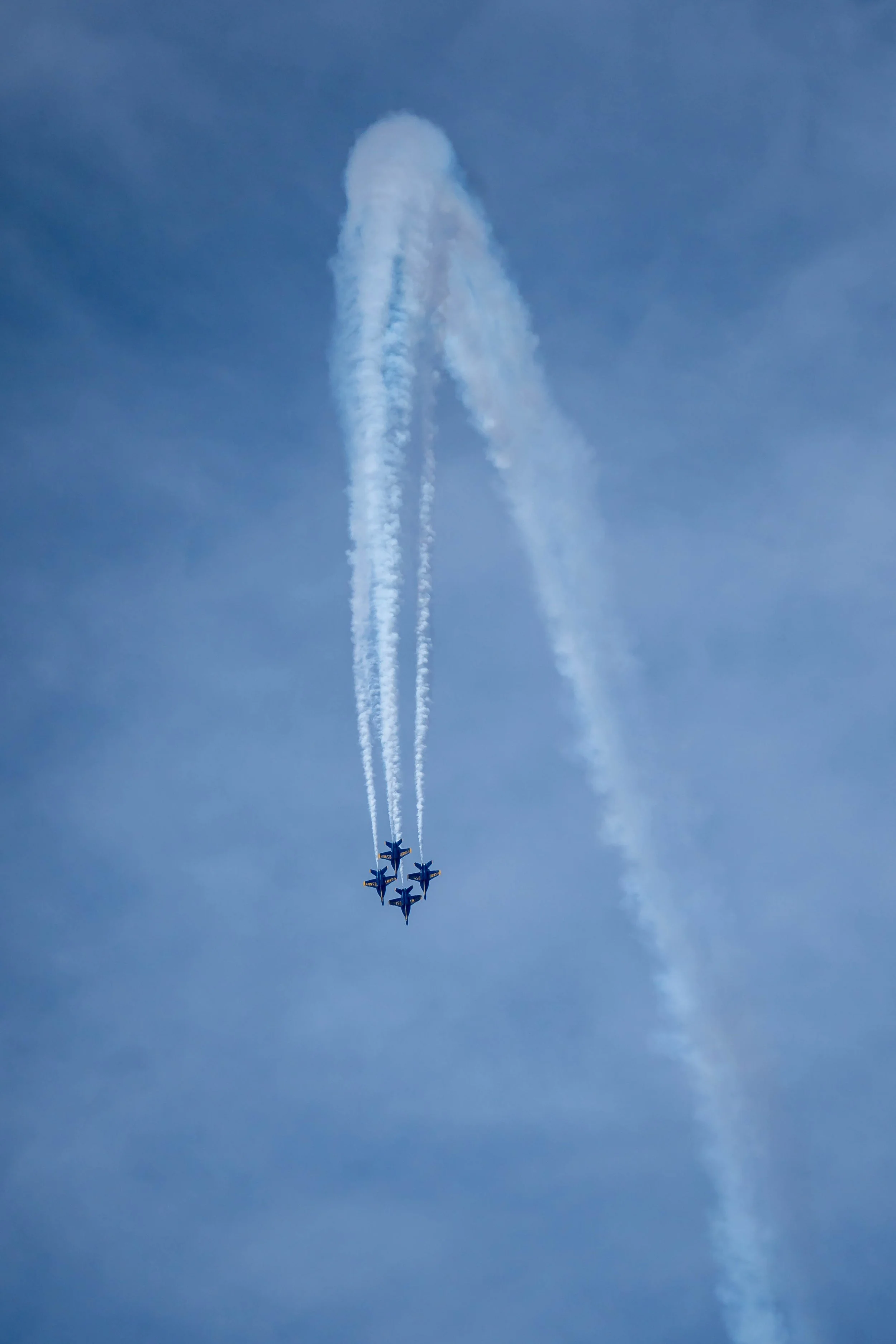 DSC05352.jpg