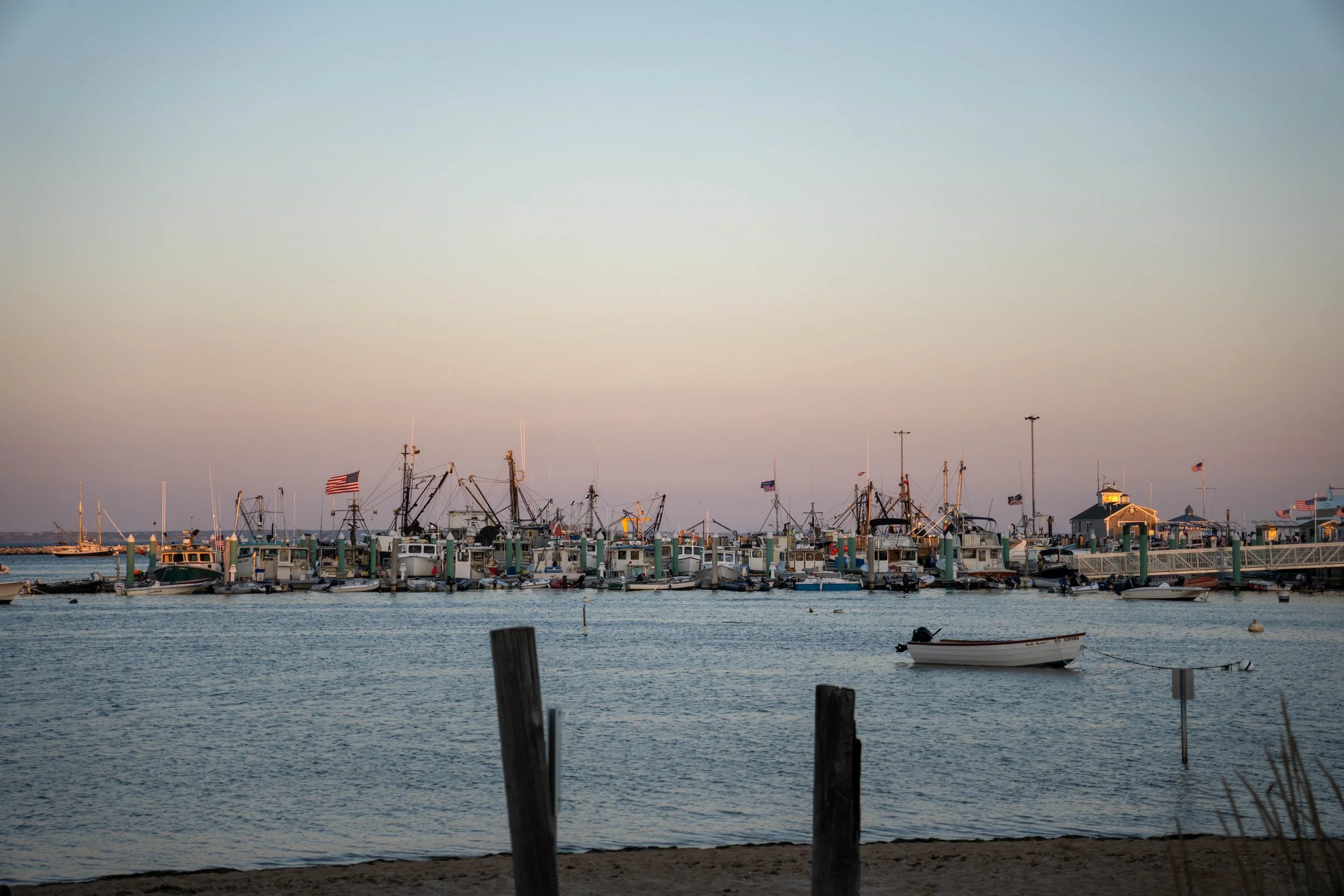 DSC08395.jpg