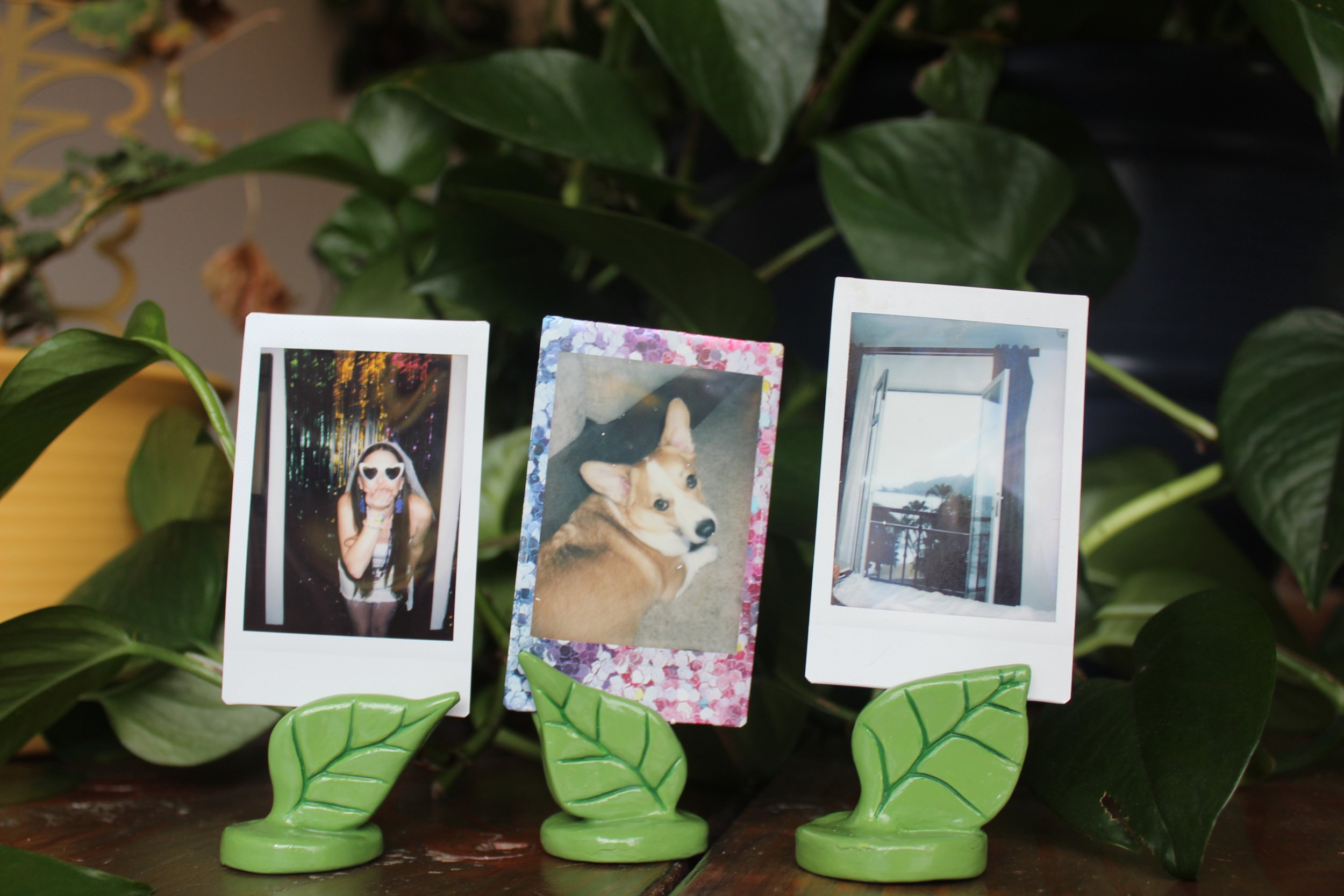 Three Polaroid photos are displayed on green leaf-shaped stands among green plants. The first photo shows a girl with sunglasses making a kiss face. The second photo shows a dog lying on the ground, looking at the camera. The third photo shows a view