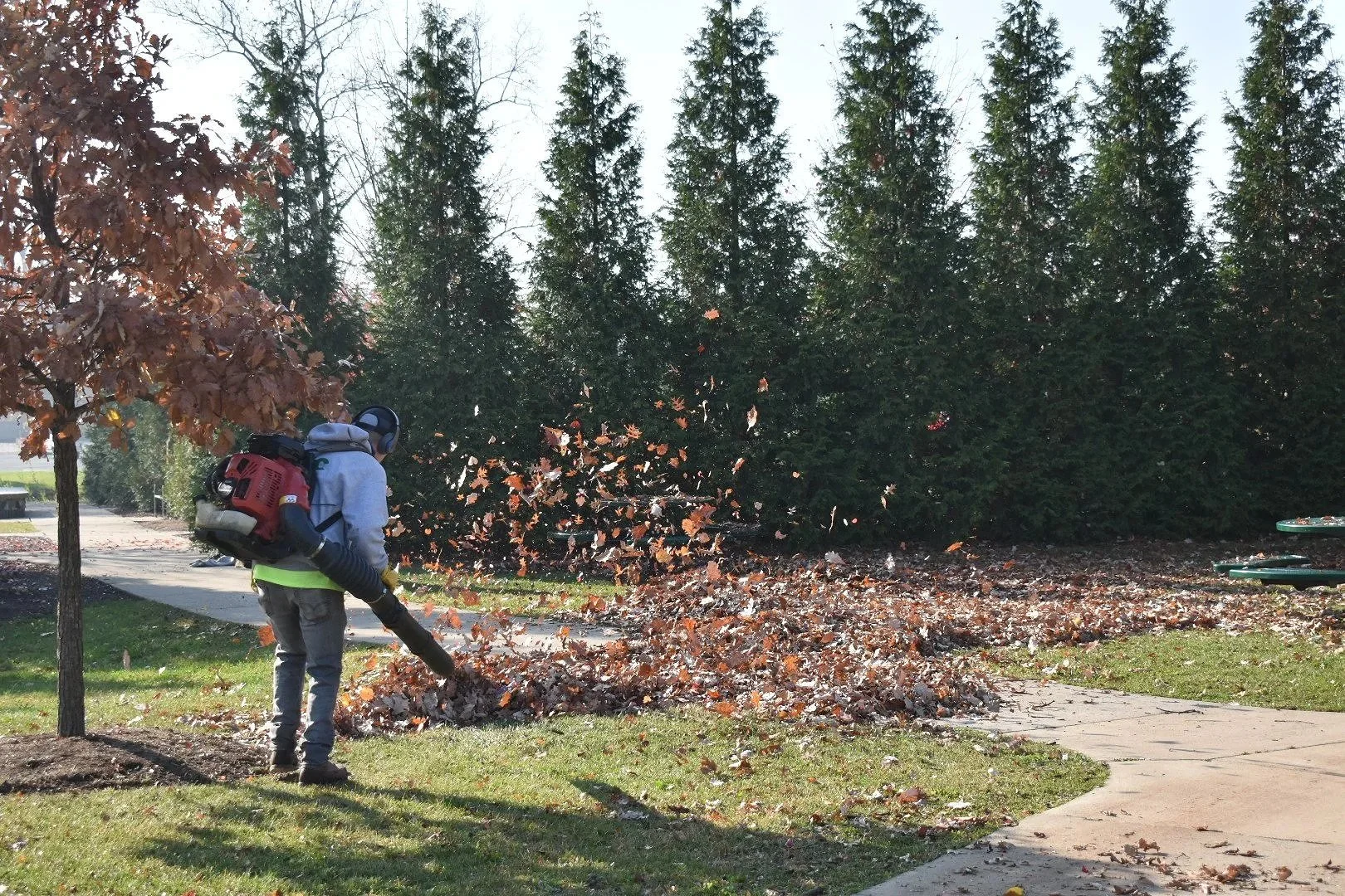 Commercial property leaf removal in Gibraltar, MI.jpg