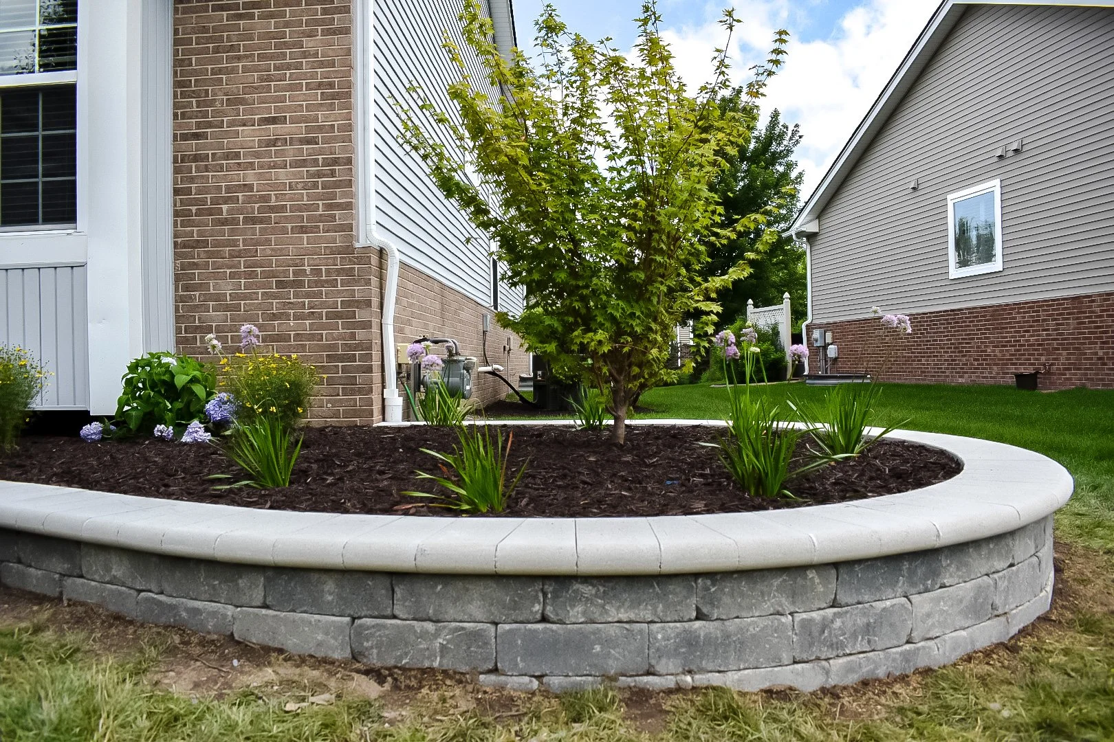 A landscaped backyard garden with a central tree surrounded by flowering plants in a raised bed with a stone border, located between two houses.