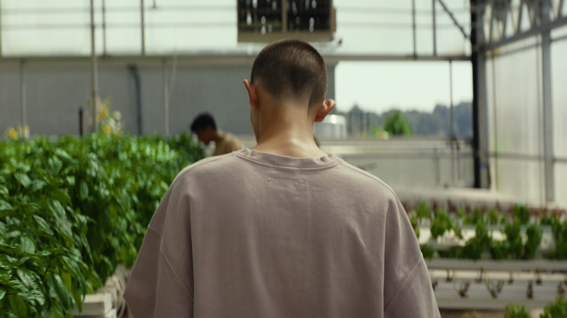 Person with short hair wearing a beige shirt standing in a greenhouse with lush green plants and another person working in the background.
