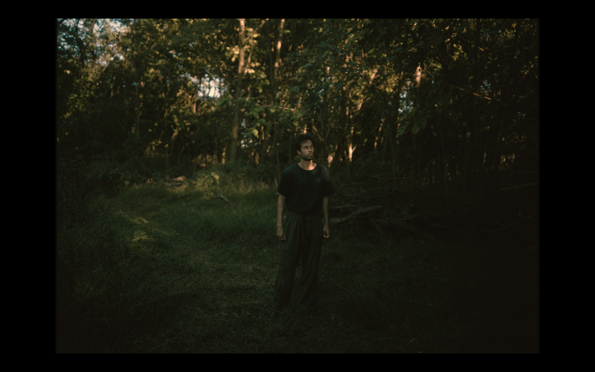 A man with dark hair and beard, wearing a black T-shirt and loose khaki pants, stands on a forest path surrounded by trees and foliage, with sunlight filtering through the branches.