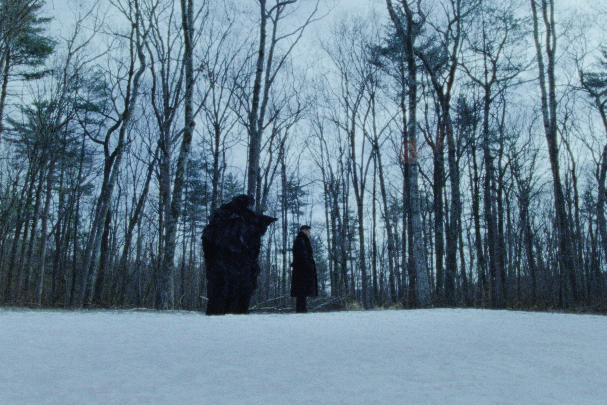 Two people stand on a snowy field surrounded by leafless trees in a forest, with a mostly overcast sky in the background.