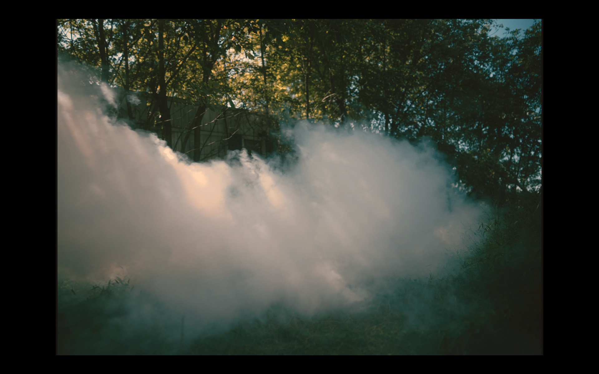 Steam rising from the ground in a wooded outdoor area with trees and sunlight filtering through the leaves.