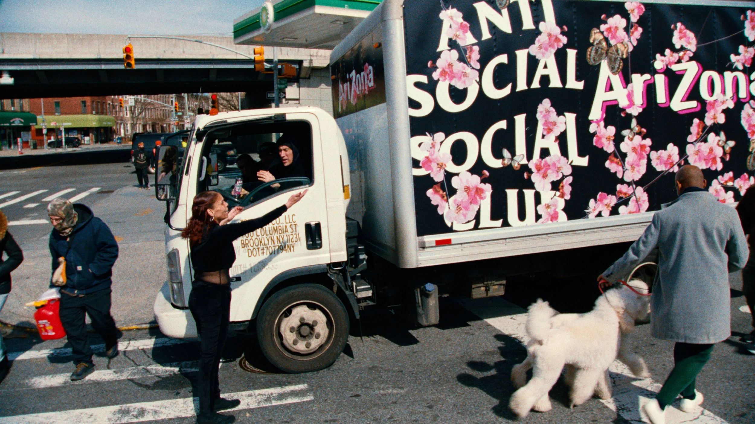 A social justice protest scene with people crossing the street, a truck with a large 'Anti Social Social' sign with pink flowers and butterflies, a woman talking to the driver of the truck, and a man walking a large fluffy white dog.