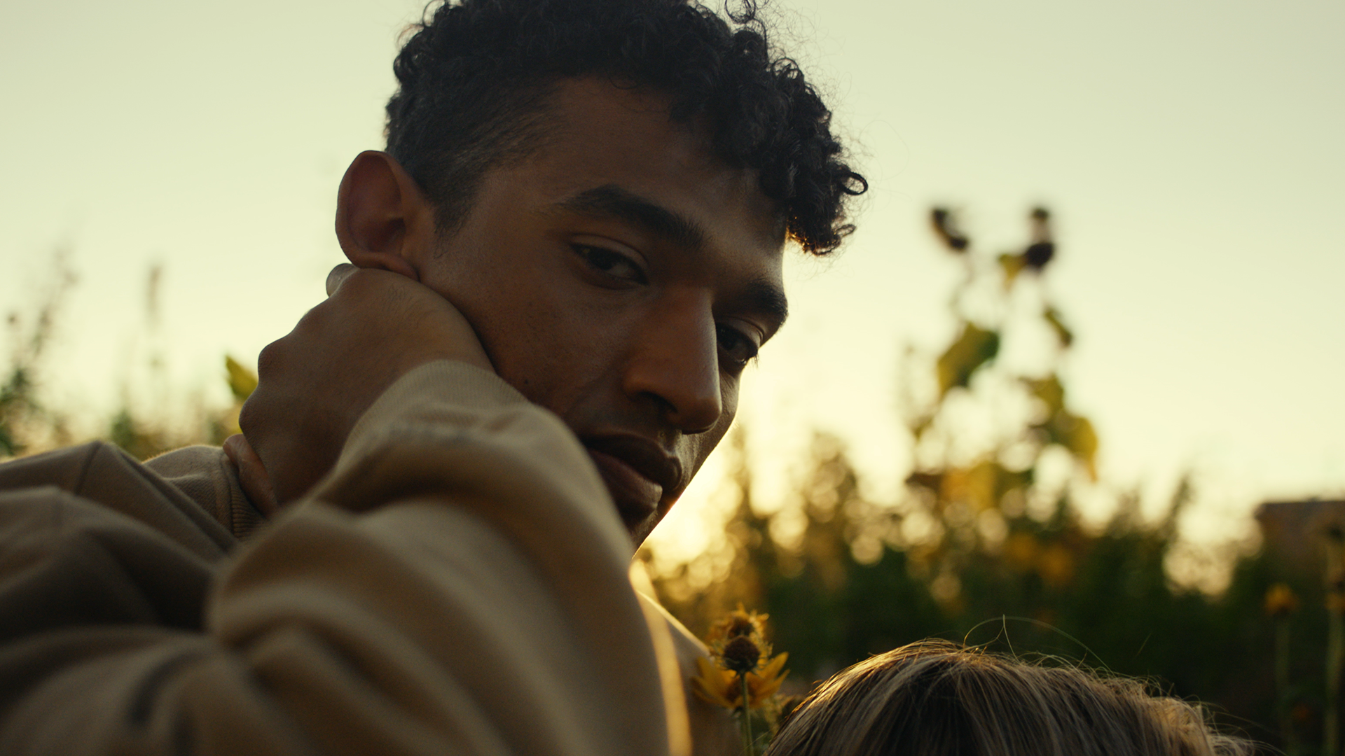 A young man with dark curly hair and tan skin gazes at the camera while resting his hand on his neck, with a blurred background of sunflower plants and a yellow-green sky at sunset.
