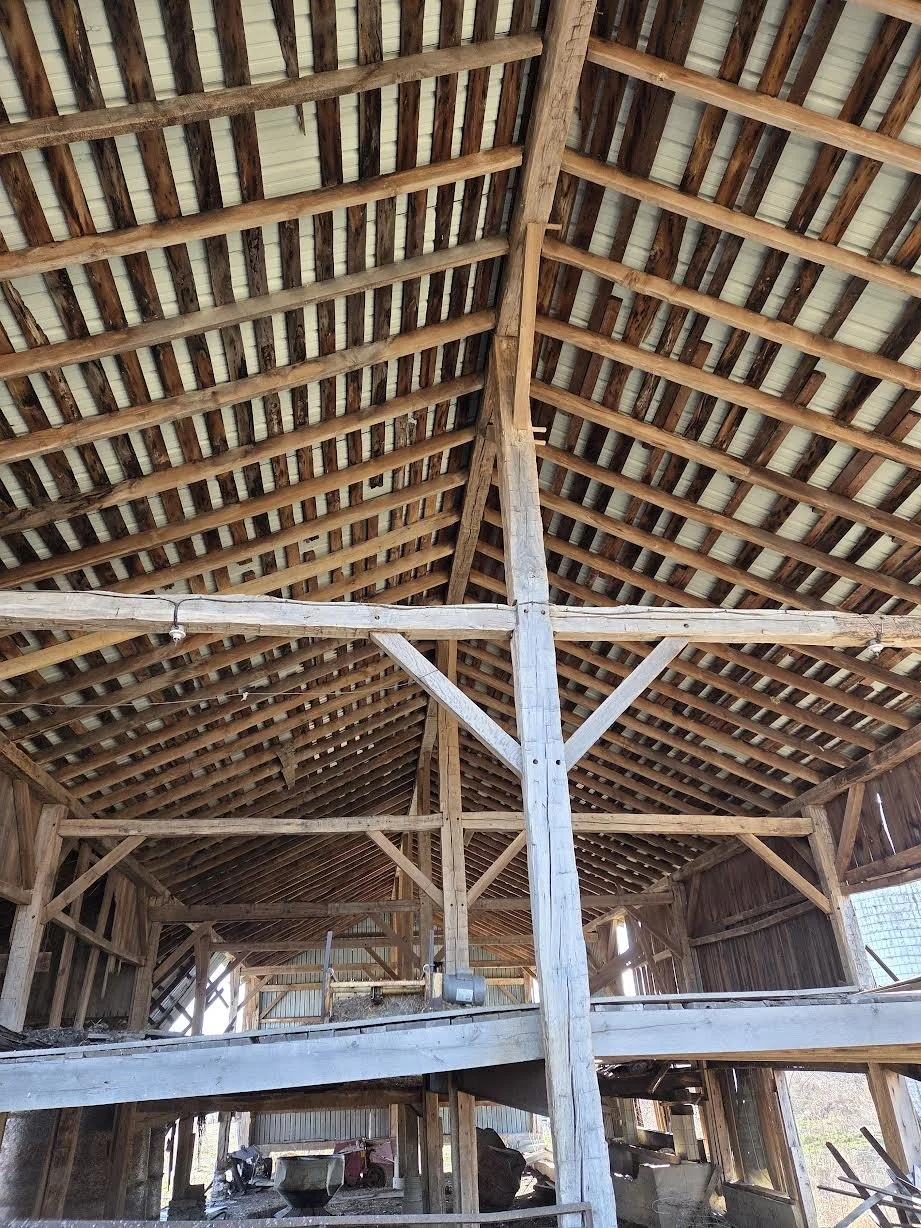 Interior view of a wooden barn with a high, gabled roof and exposed supporting beams.
