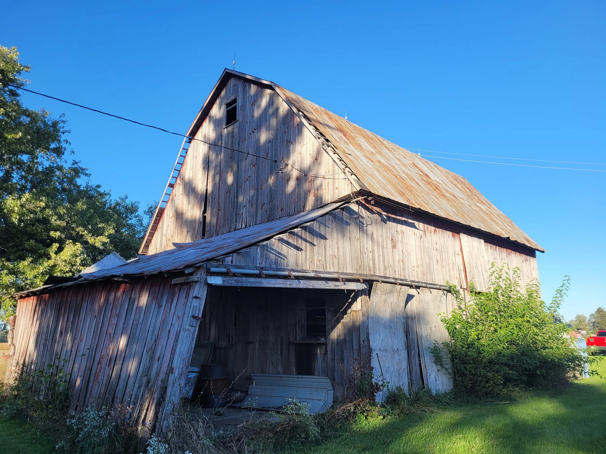 An old weathered barn with a rusty metal roof and vertical wooden siding, surrounded by green trees and grass under a clear blue sky.