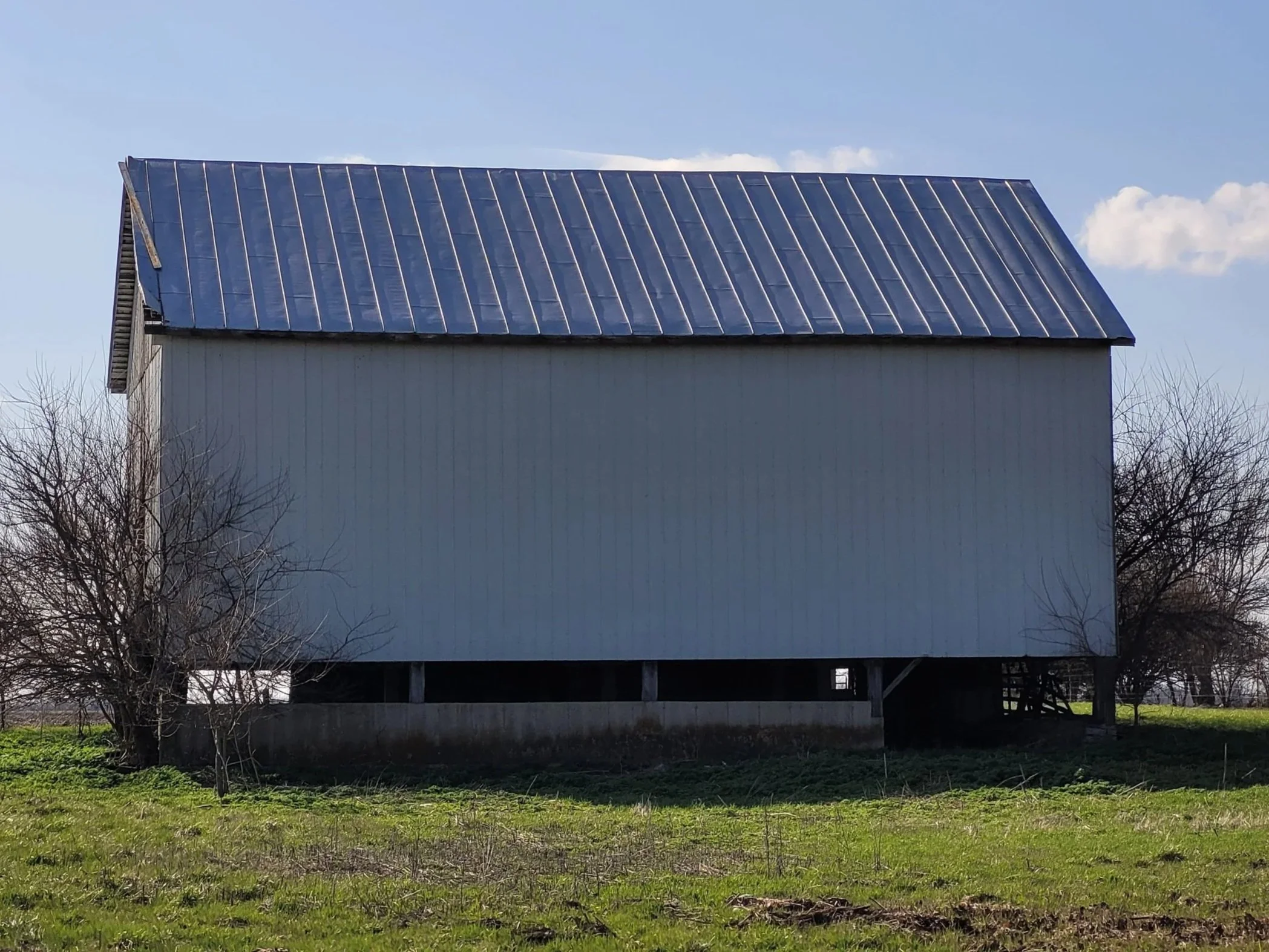 A house with a metal roof and a white wooden exterior, elevated on stilts, with leafless trees in the foreground and a blue sky with some clouds in the background.