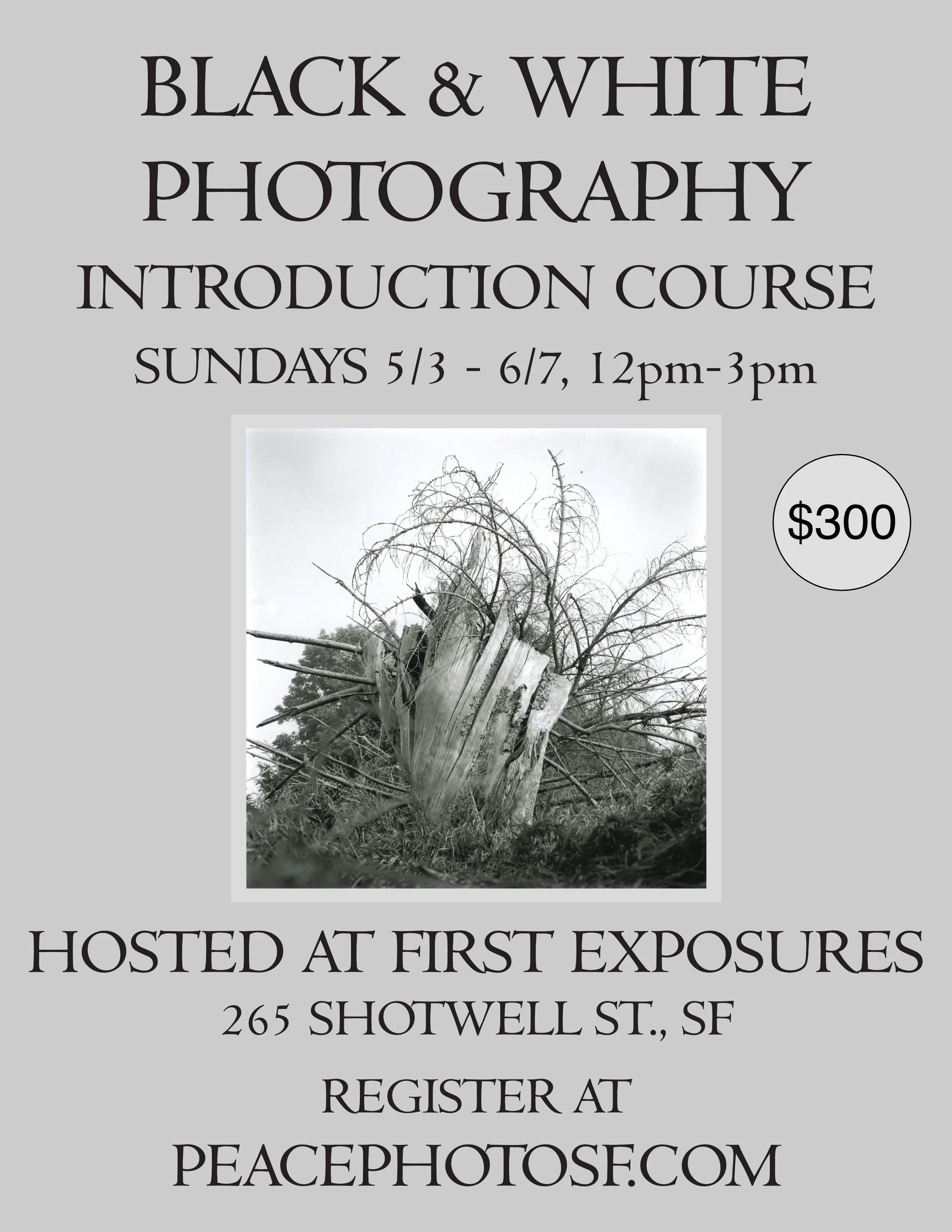 Black & White Photography Workshop