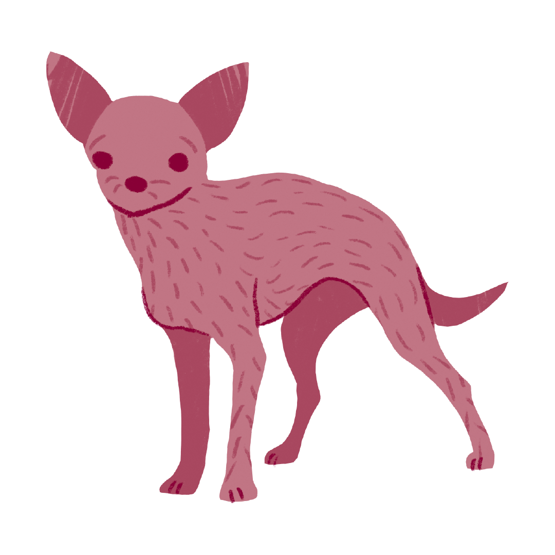Cartoon illustration of a small dog with a smiling expression, fluffy fur, and a pink hue, standing on a pink background.
