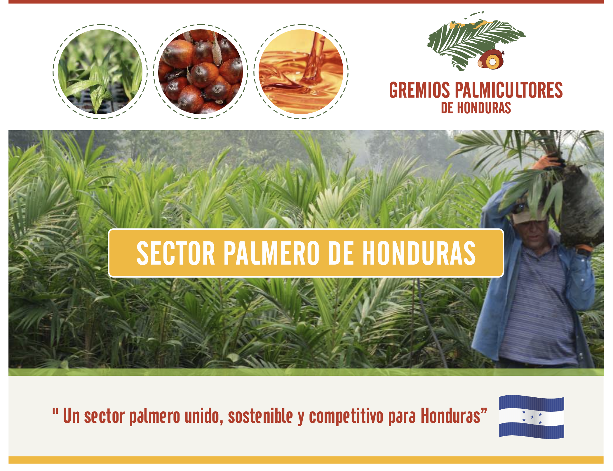 Imagen promocional del sector palmero en Honduras, con cultivo de palmas, una persona cargando una palma y un logo de bandera de Honduras, texto que dice ‘Gremios Palmicultores de Honduras’, ‘Sector Palmero de Honduras’ y la frase ‘Un sector palmero unido, sostenible y competitivo para Honduras’.