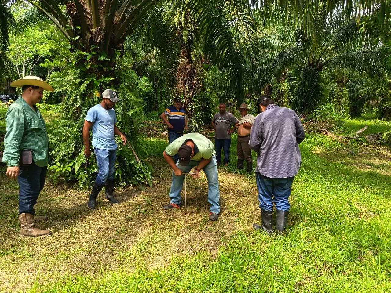 Productores fortalecen sus conocimientos en producción, comercialización y manejo del suelo