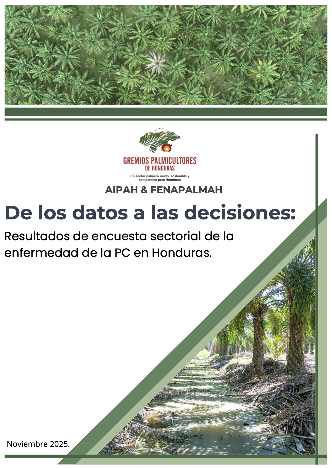 Portada de un informe con imágenes de palmeras y una planta de cannabis, con logotipo y texto en español.