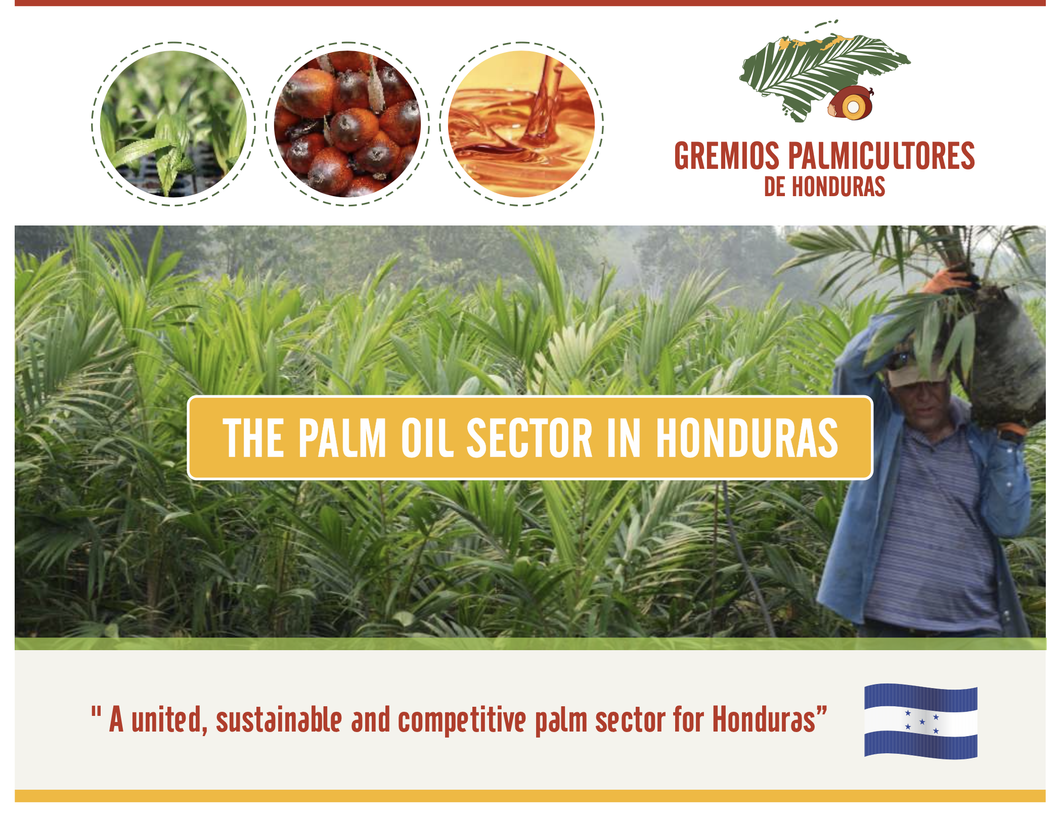 Imagen de un trabajador en un cultivo de palma en Honduras, con información y logotipos sobre el sector de aceite de palma y la producción sostenible.
