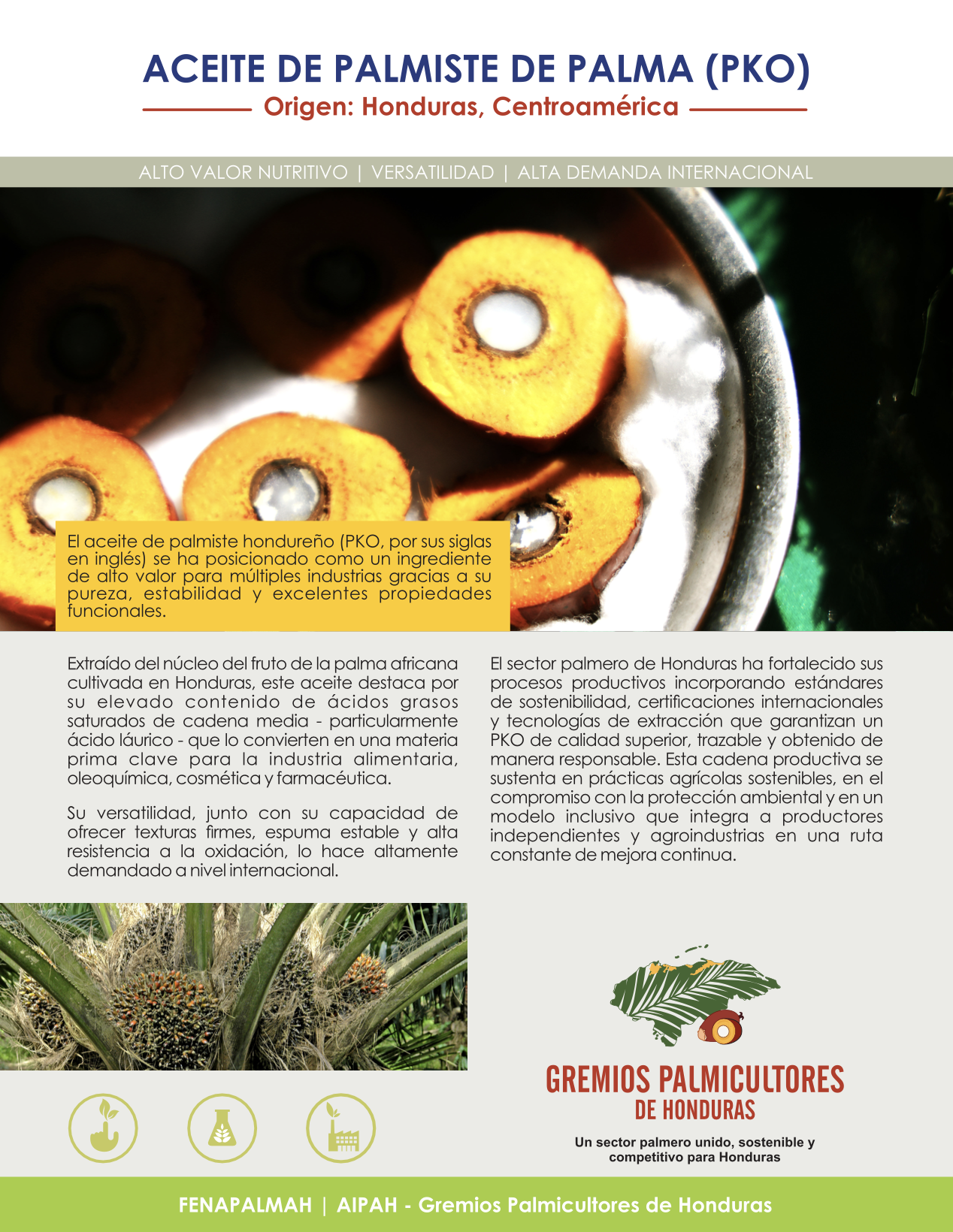 Cartel informativo sobre el aceite de palmiste de palma hondureña, con texto en español y una imagen del fruto de la palma africana. Incluye logo de gremios palmícultores de Honduras y símbolos relacionados con la agricultura.